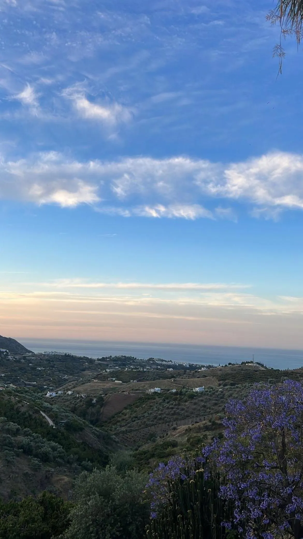 View (from property/room) in Posada Morisca Charming Hotel Boutique