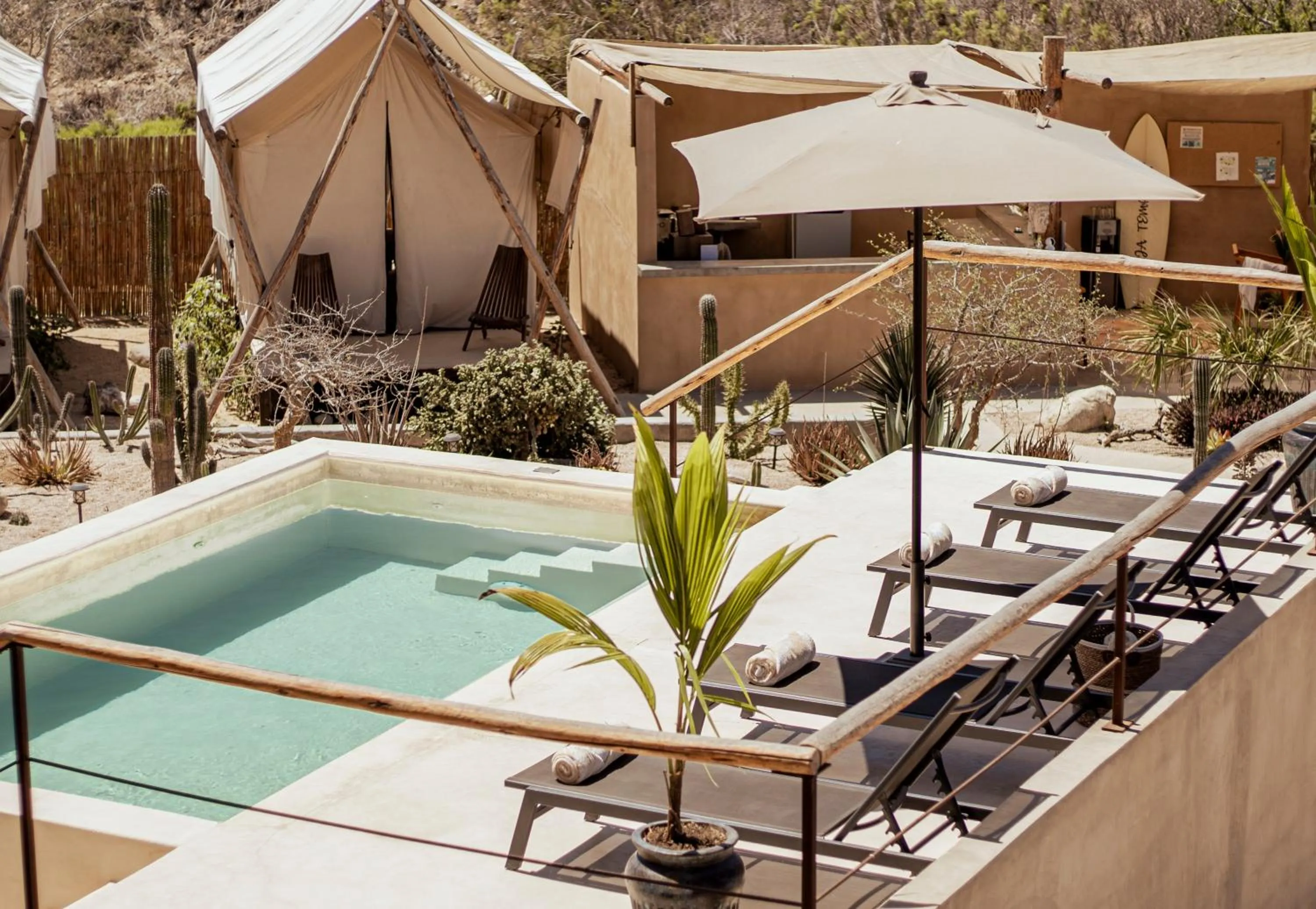 Garden in Baja Temple