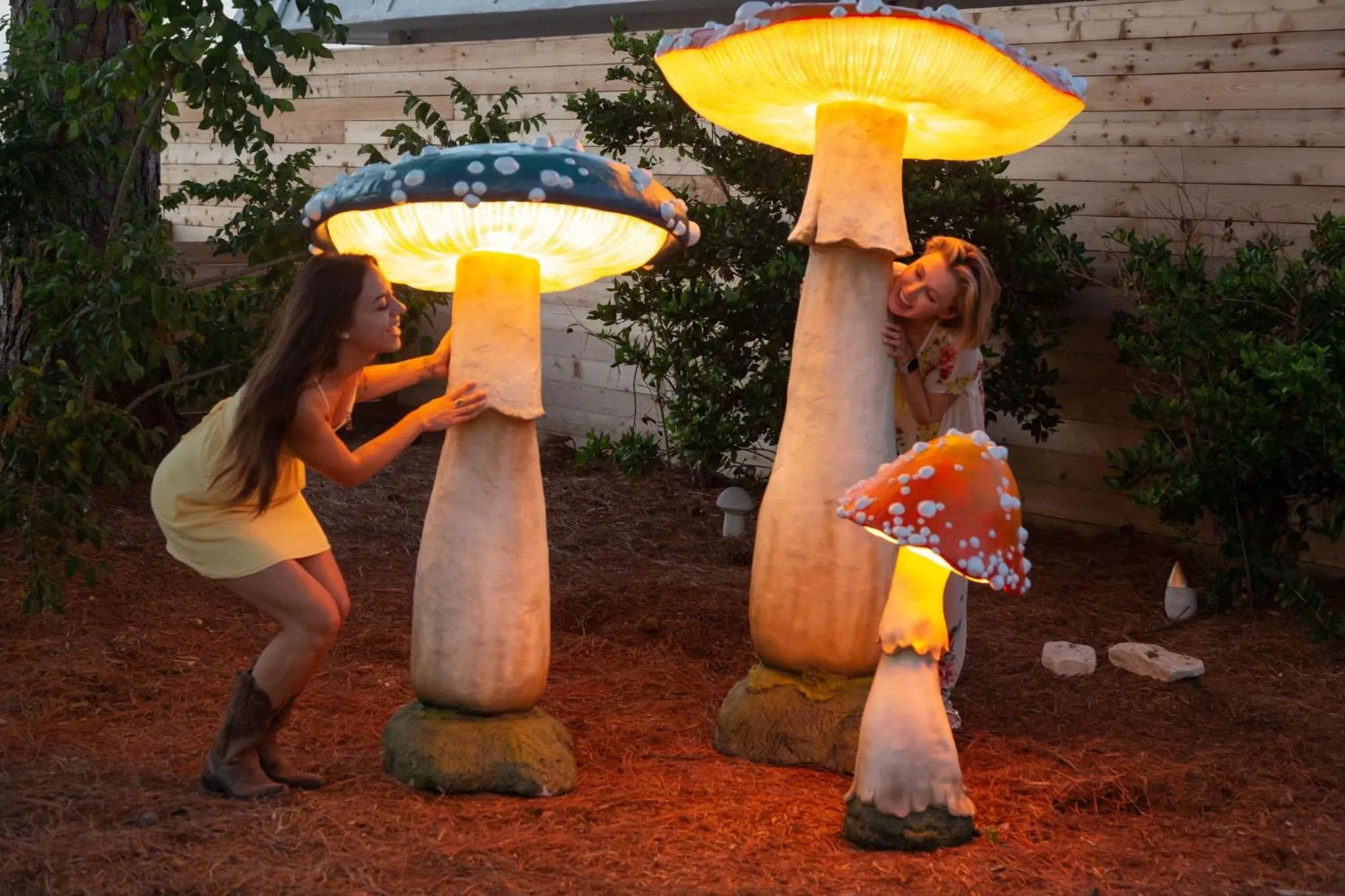 Garden in Hotel McCoy - Art, Libations, Pool Society