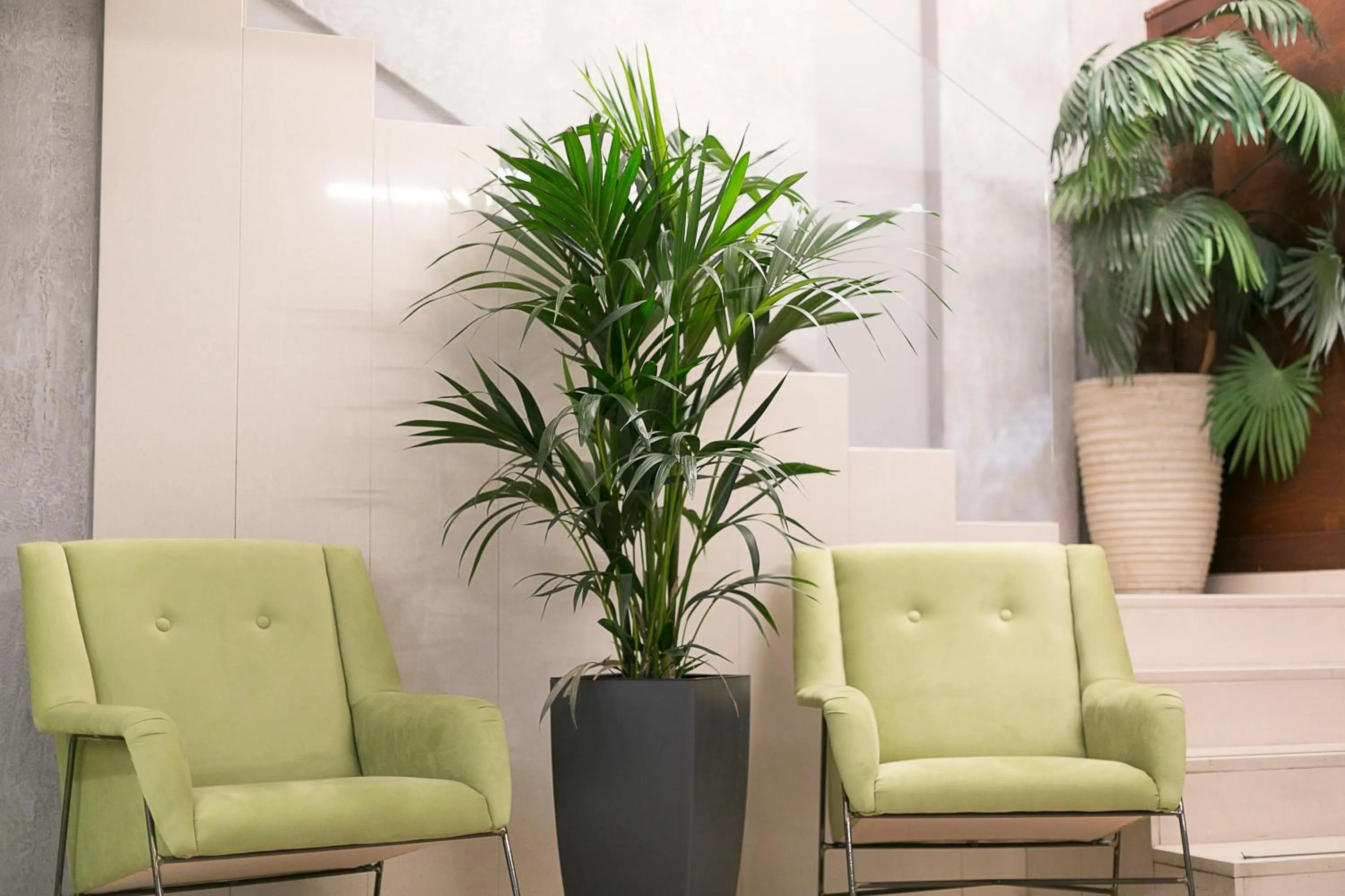 Lobby or reception in Plaza Hotel, Philian Hotels and Resorts