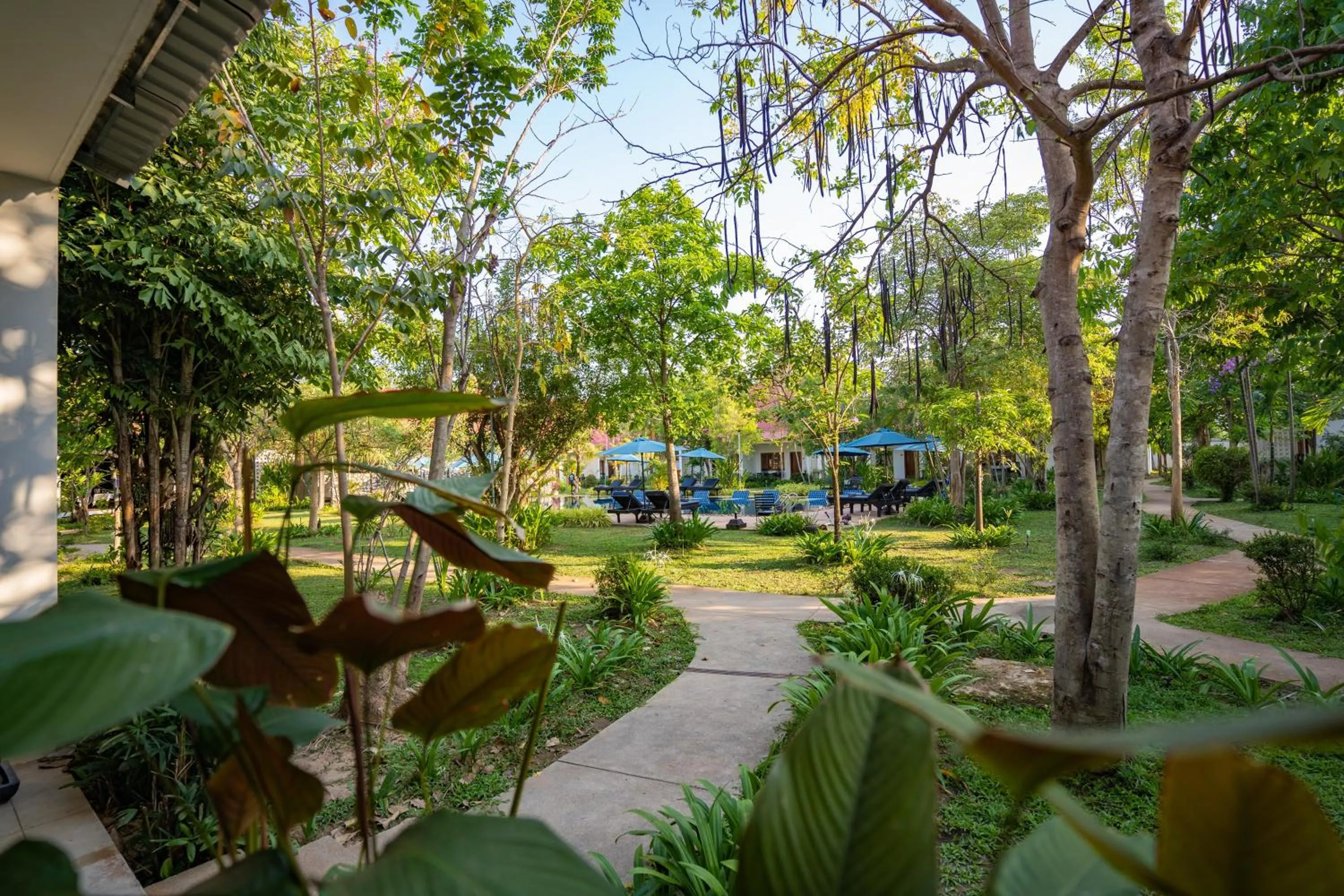 Garden in Amazing Smile Angkor Resort