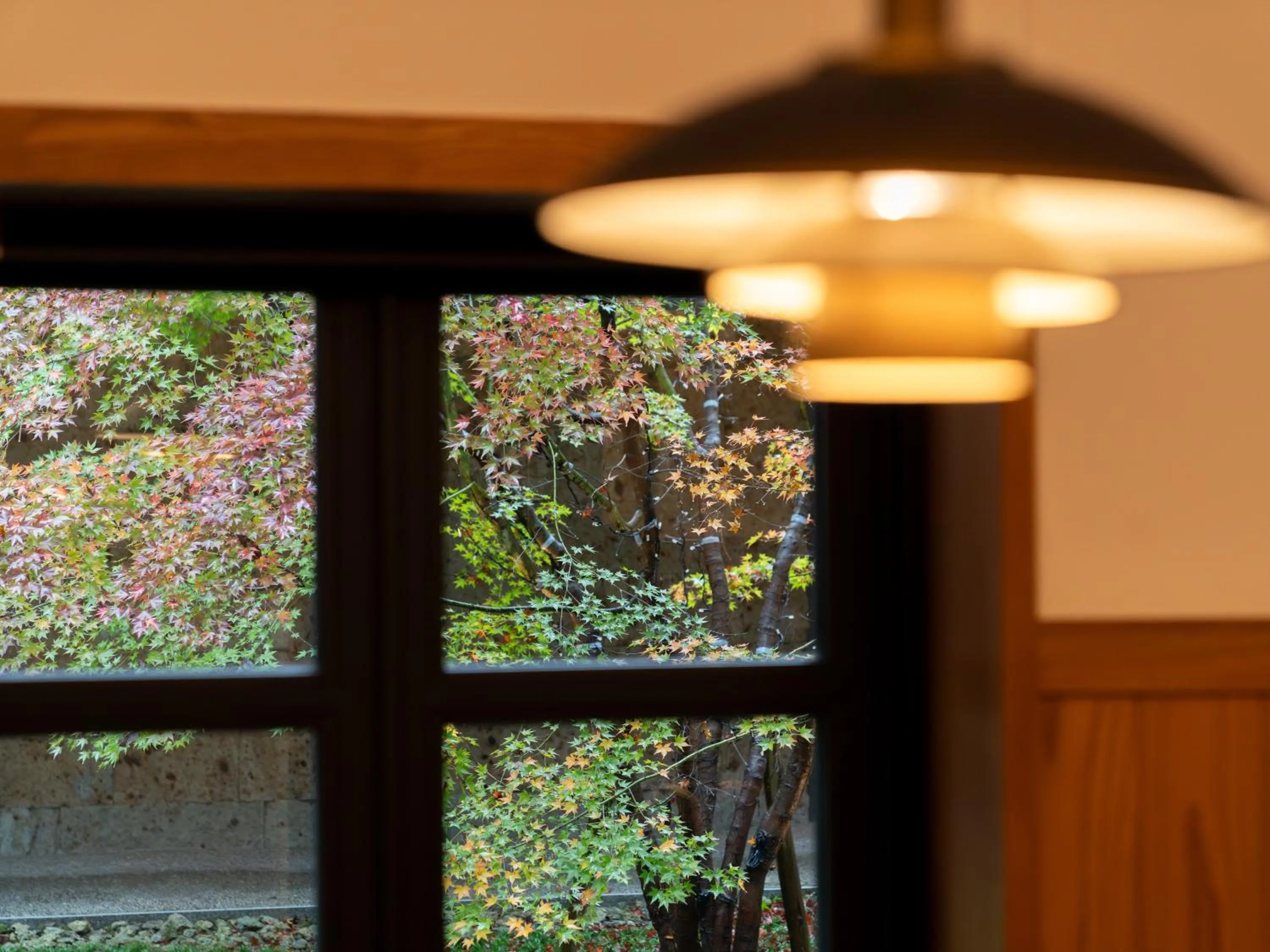 Garden view in Nikko Nishimachi Club