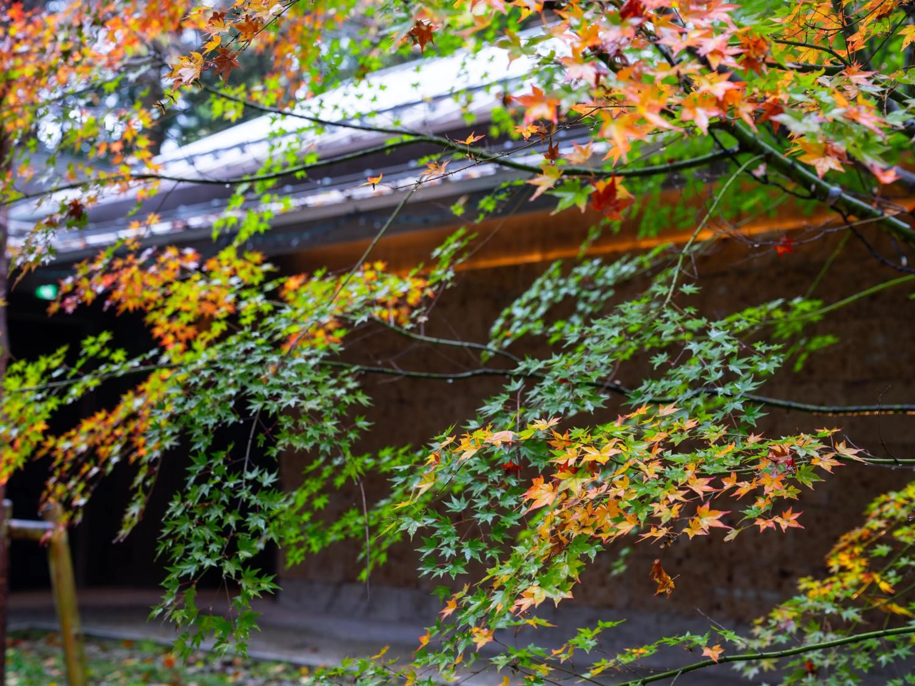 Property building in Nikko Nishimachi Club