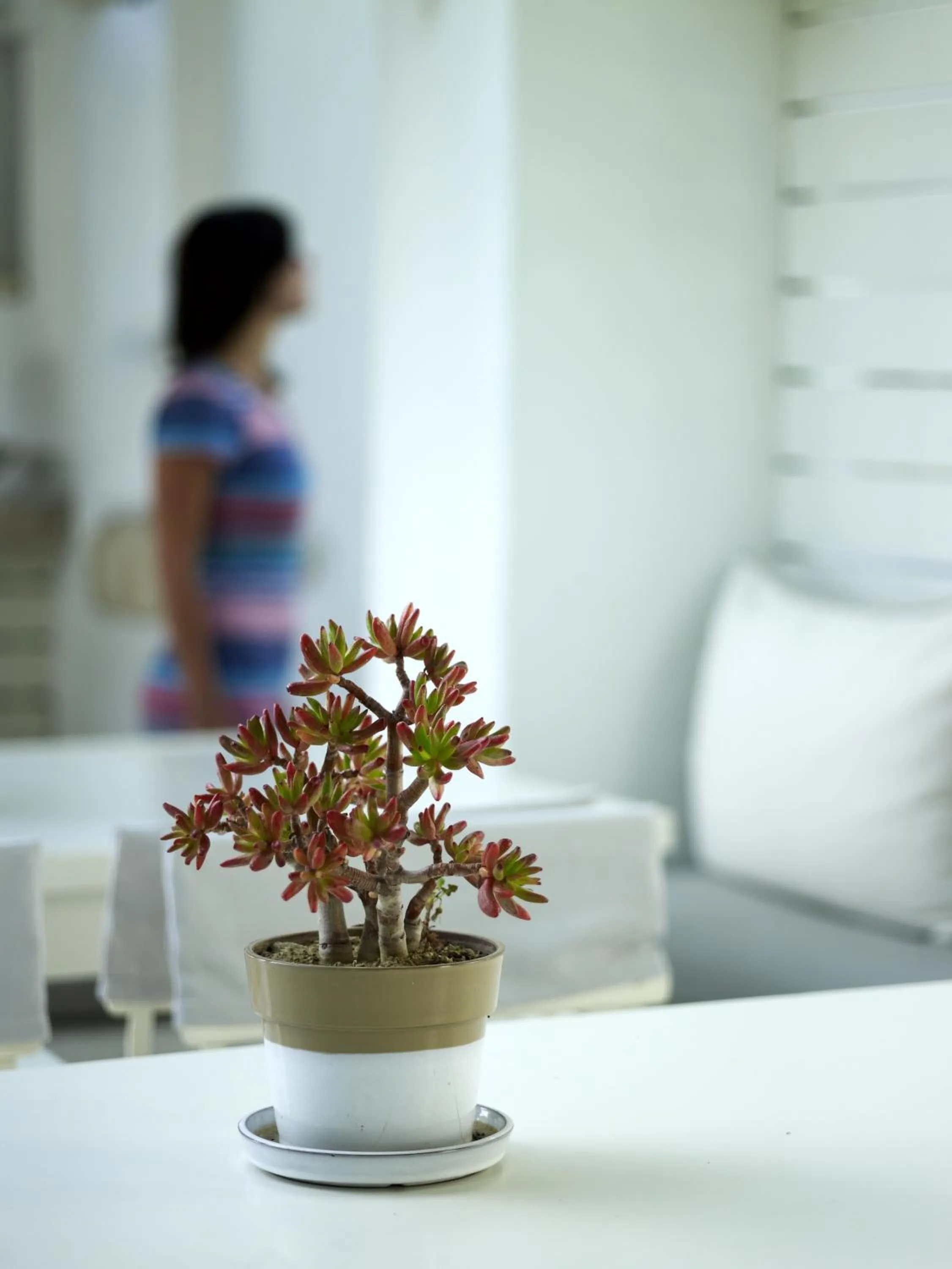 Lounge or bar in Semeli Hotel Mykonos