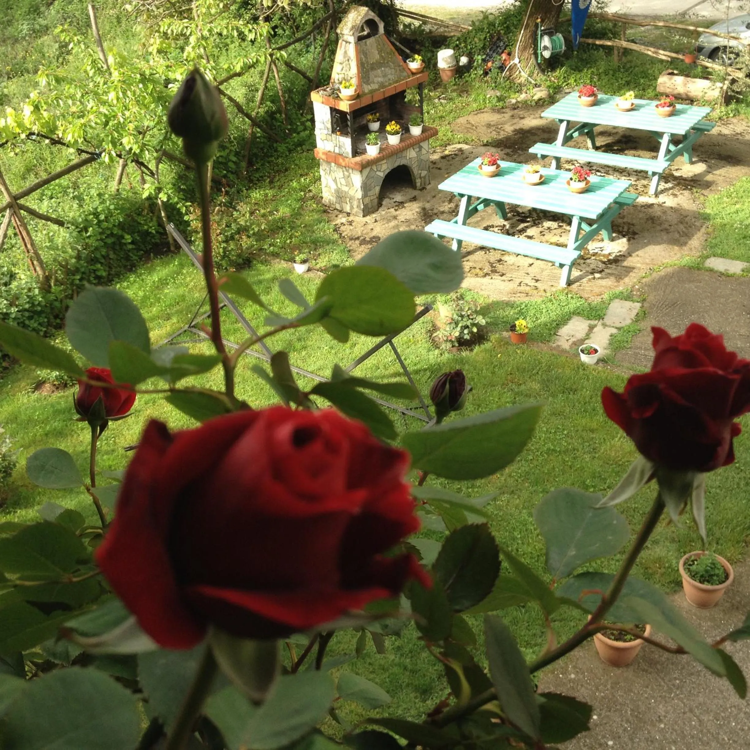 Garden view in Artemis Apartments