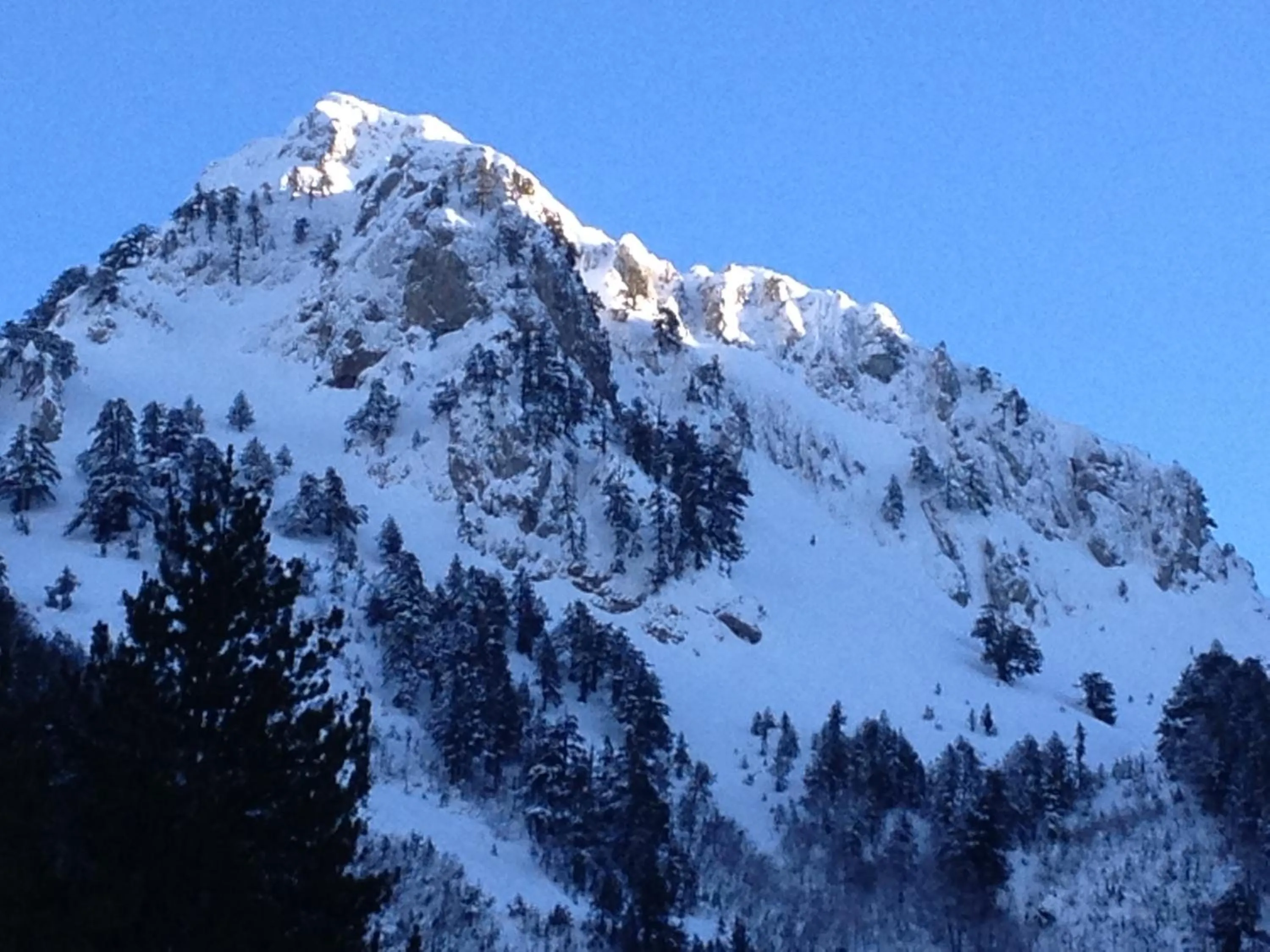 Activities in Artemis Apartments