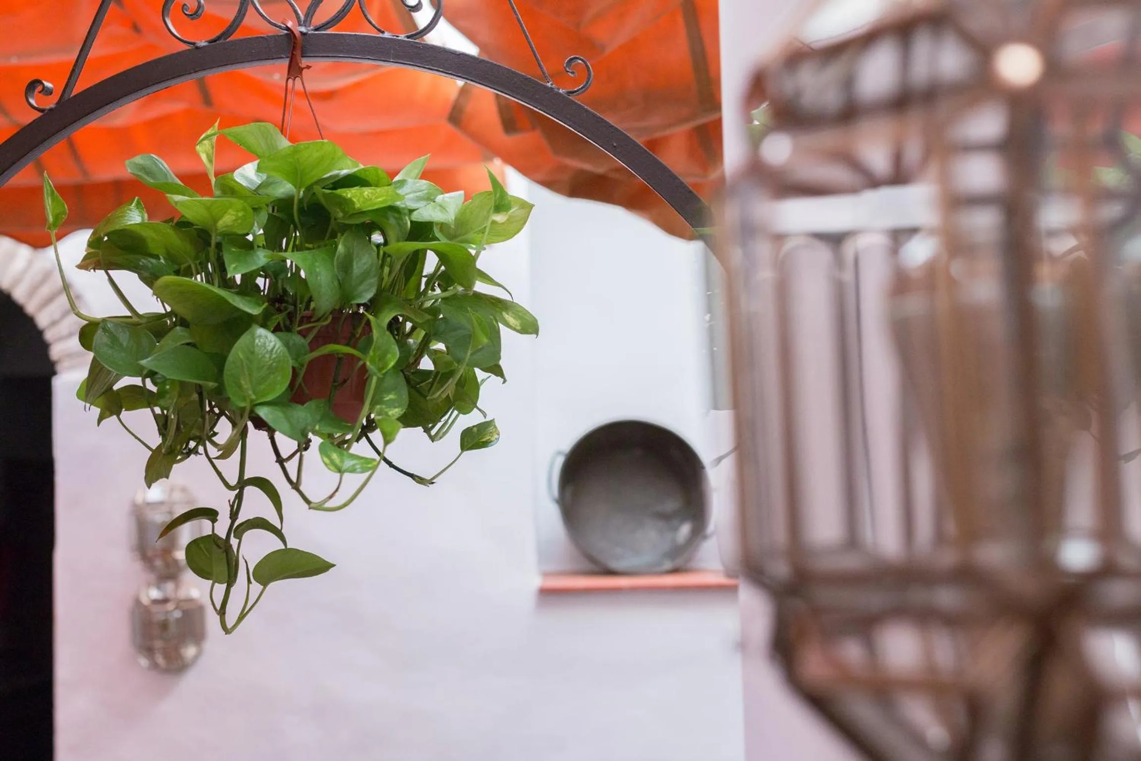 Decorative detail in Los Patios