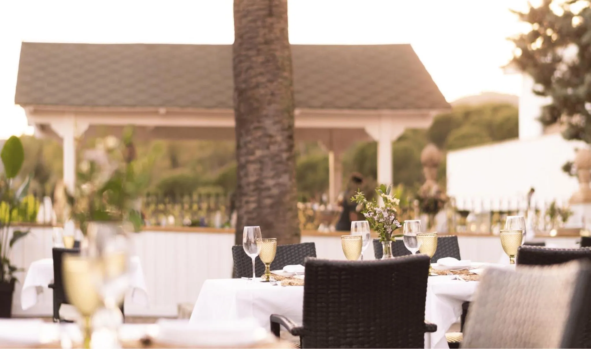 DWO Finca Los Abetos