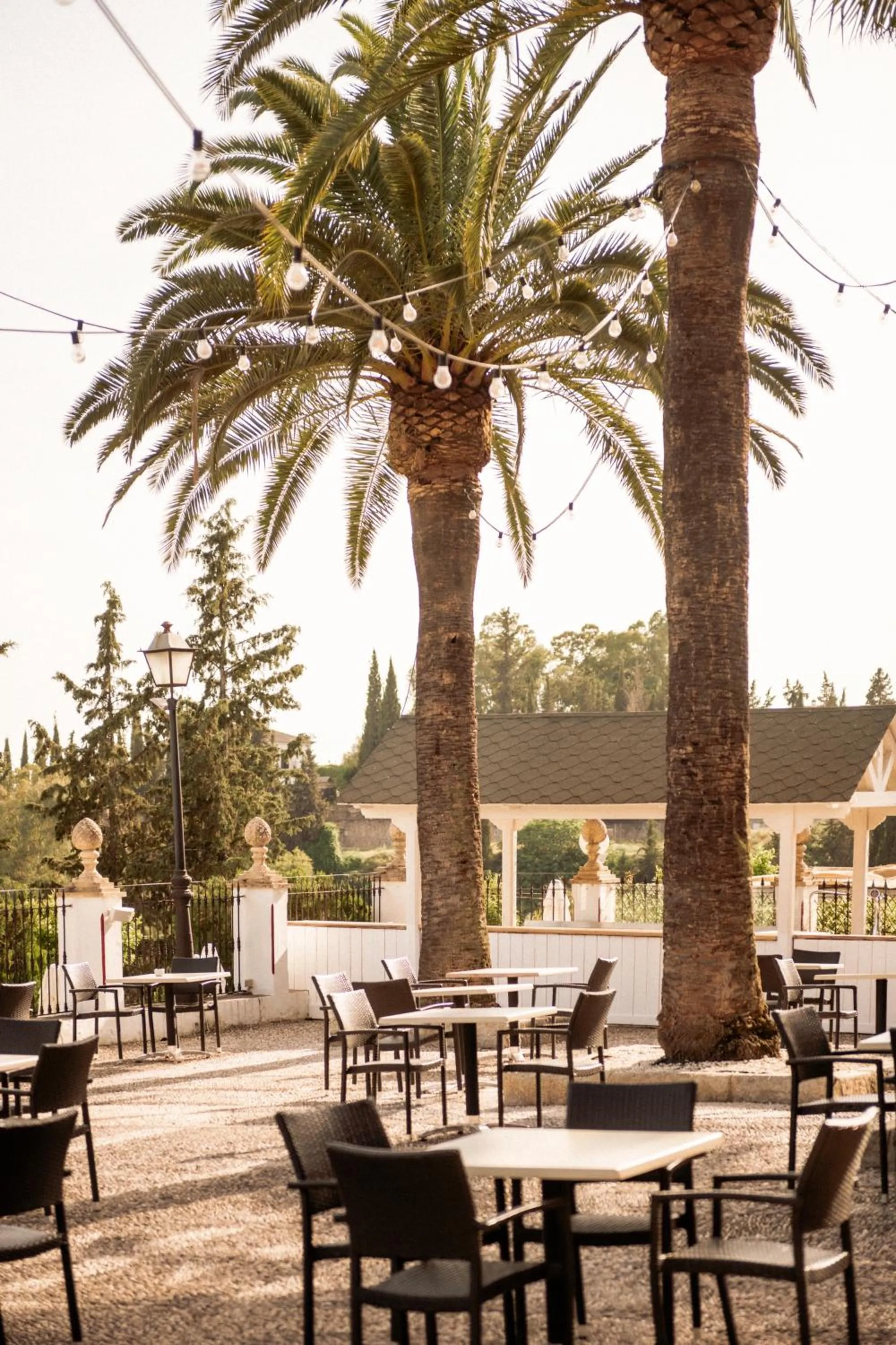 Restaurant/places to eat in Hotel Finca Los Abetos