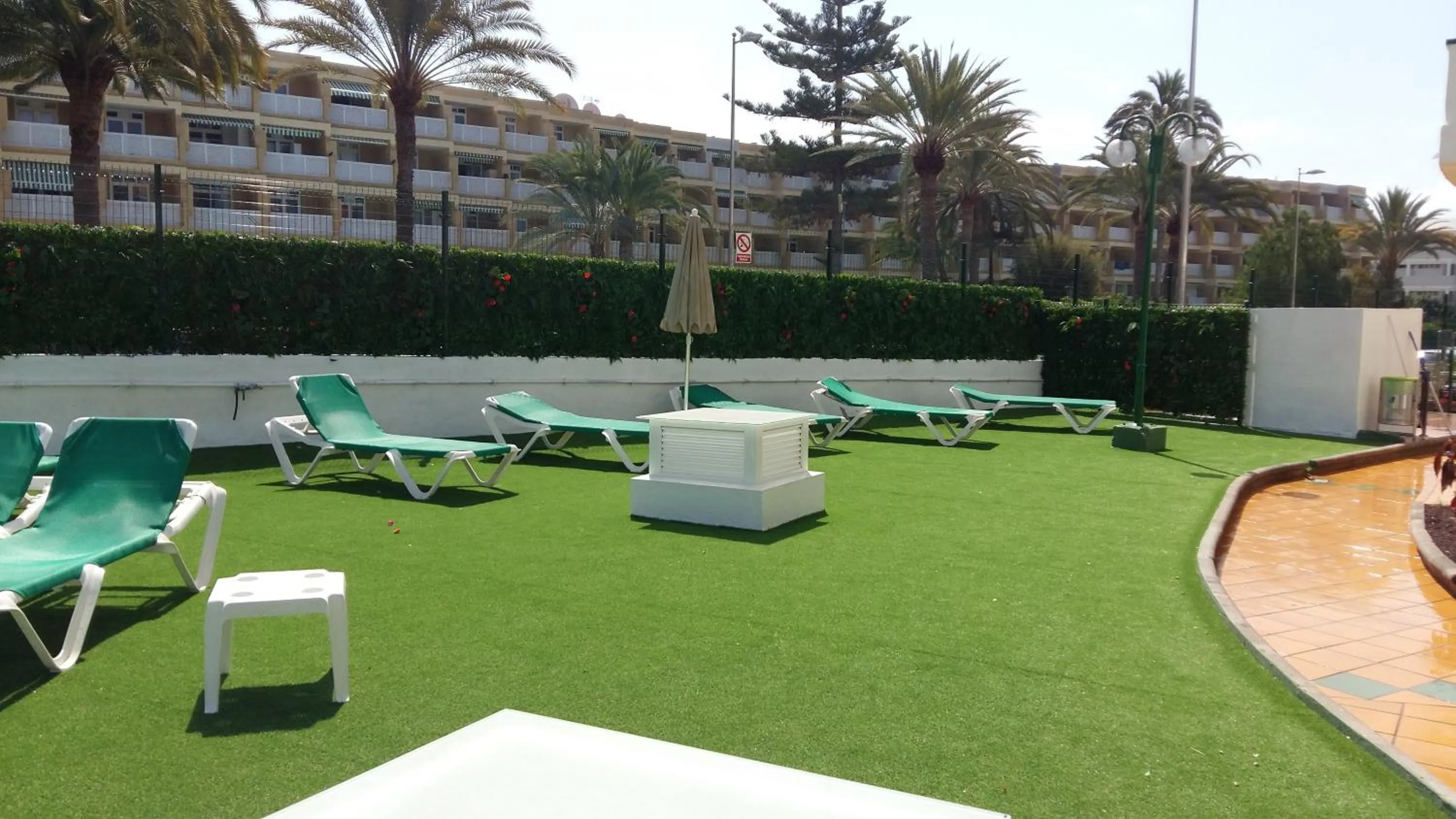 Garden in Las Faluas