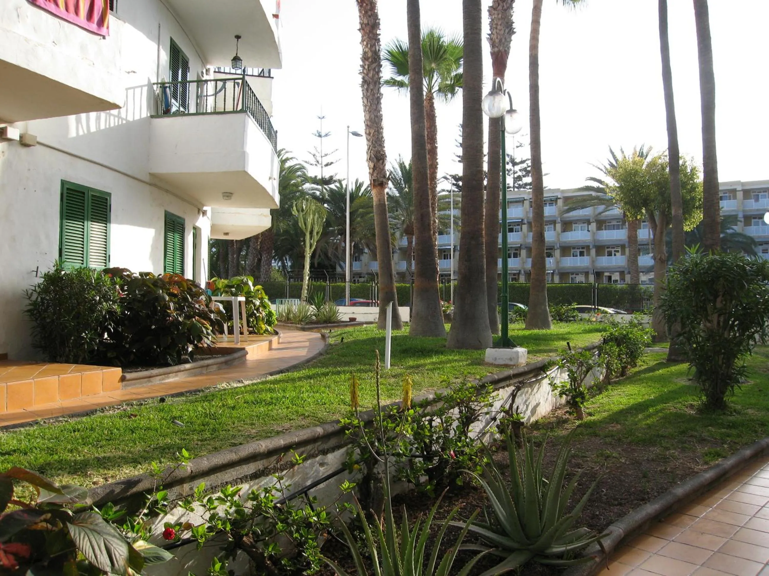 Garden in Las Faluas