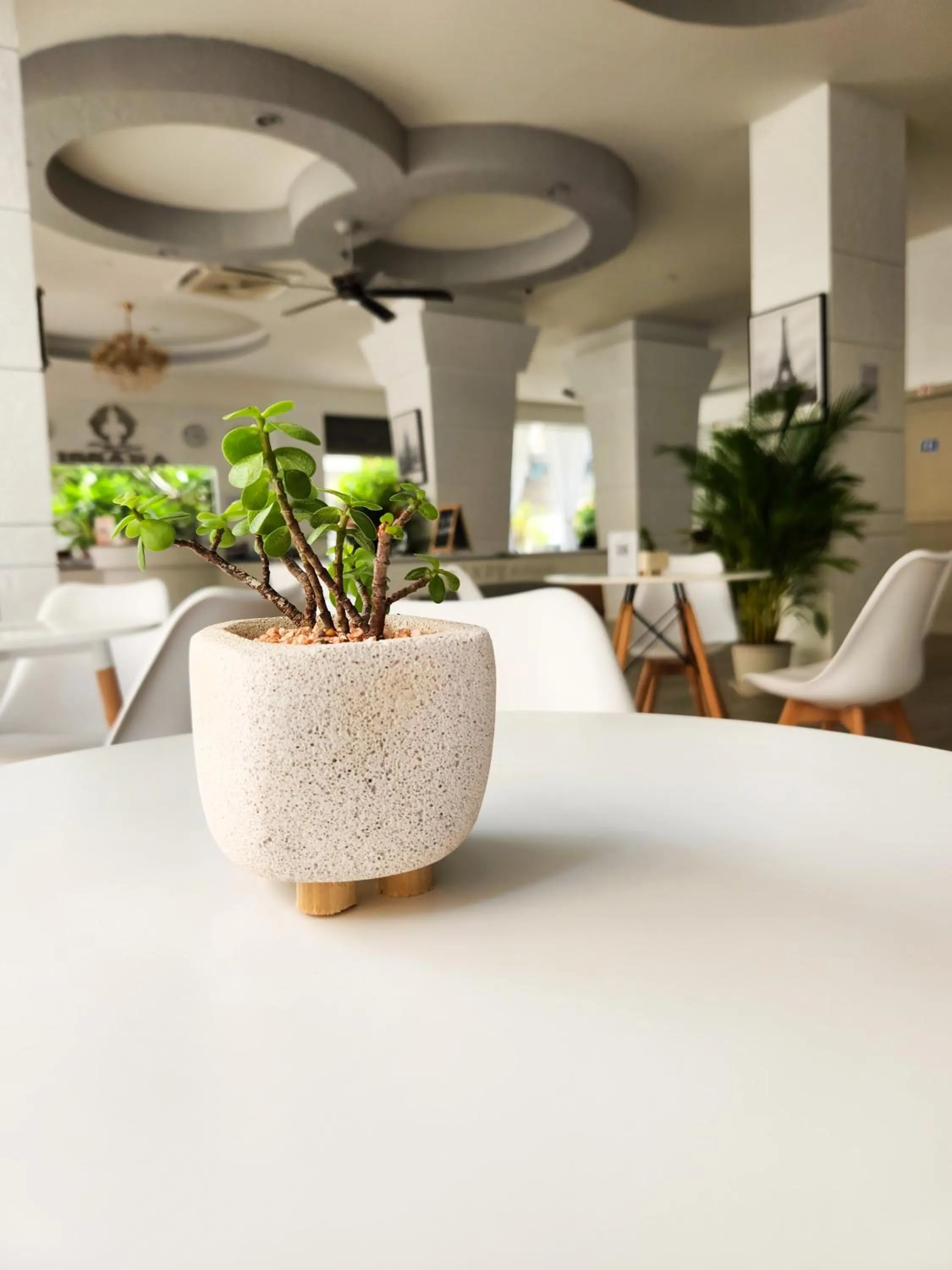 Seating area in Issara Patong Beach