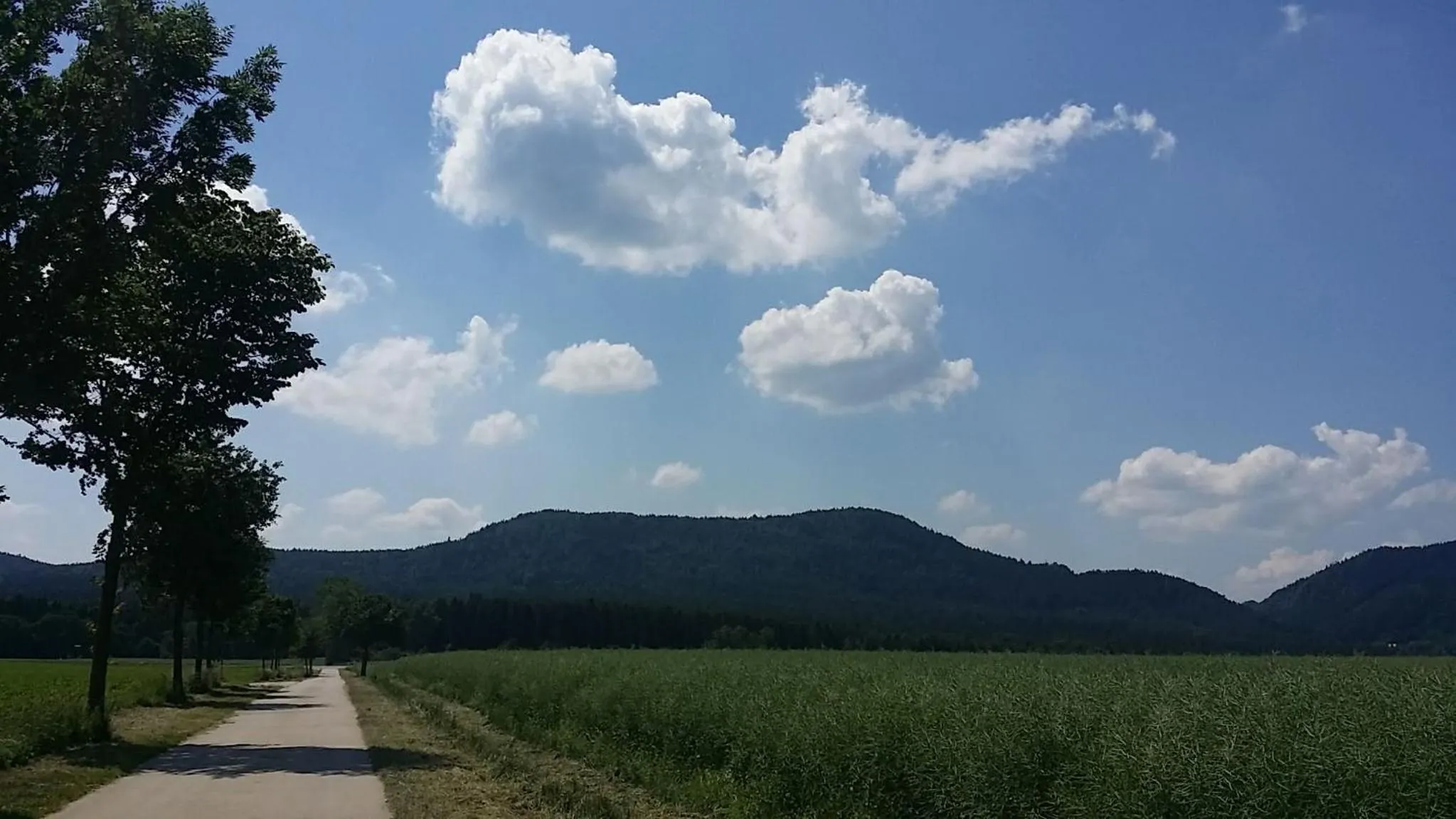 Nearby landmark in Urlaubsdomizil Am Töpfer - Ferienwohnungen in Olbersdorf