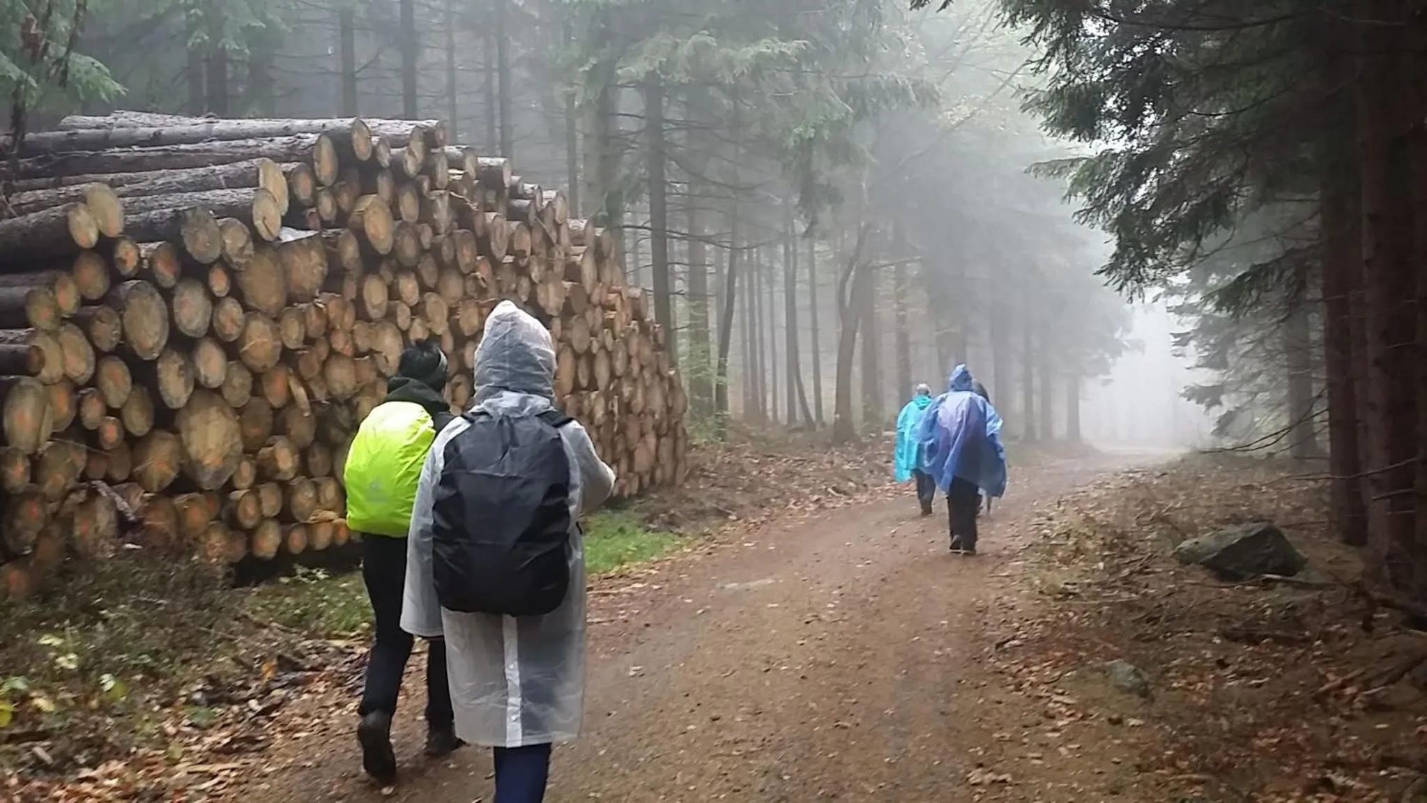 Hiking in Urlaubsdomizil Am Töpfer - Ferienwohnungen in Olbersdorf
