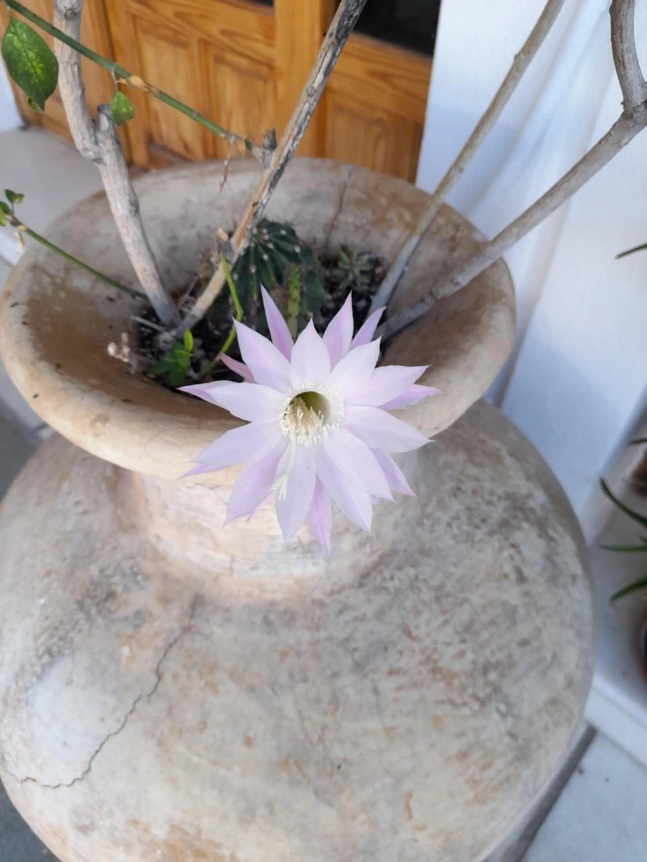 Property building in Siroco's Rooms And Studios