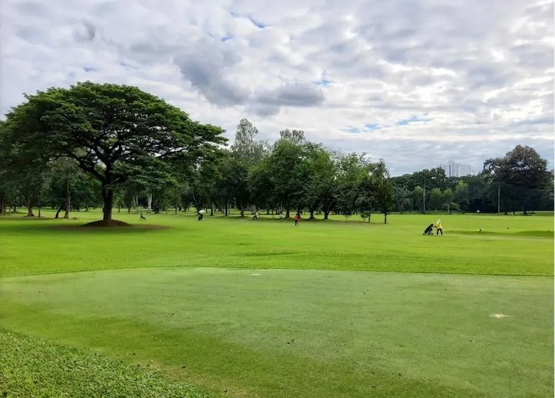 Golfcourse in Brique Suite