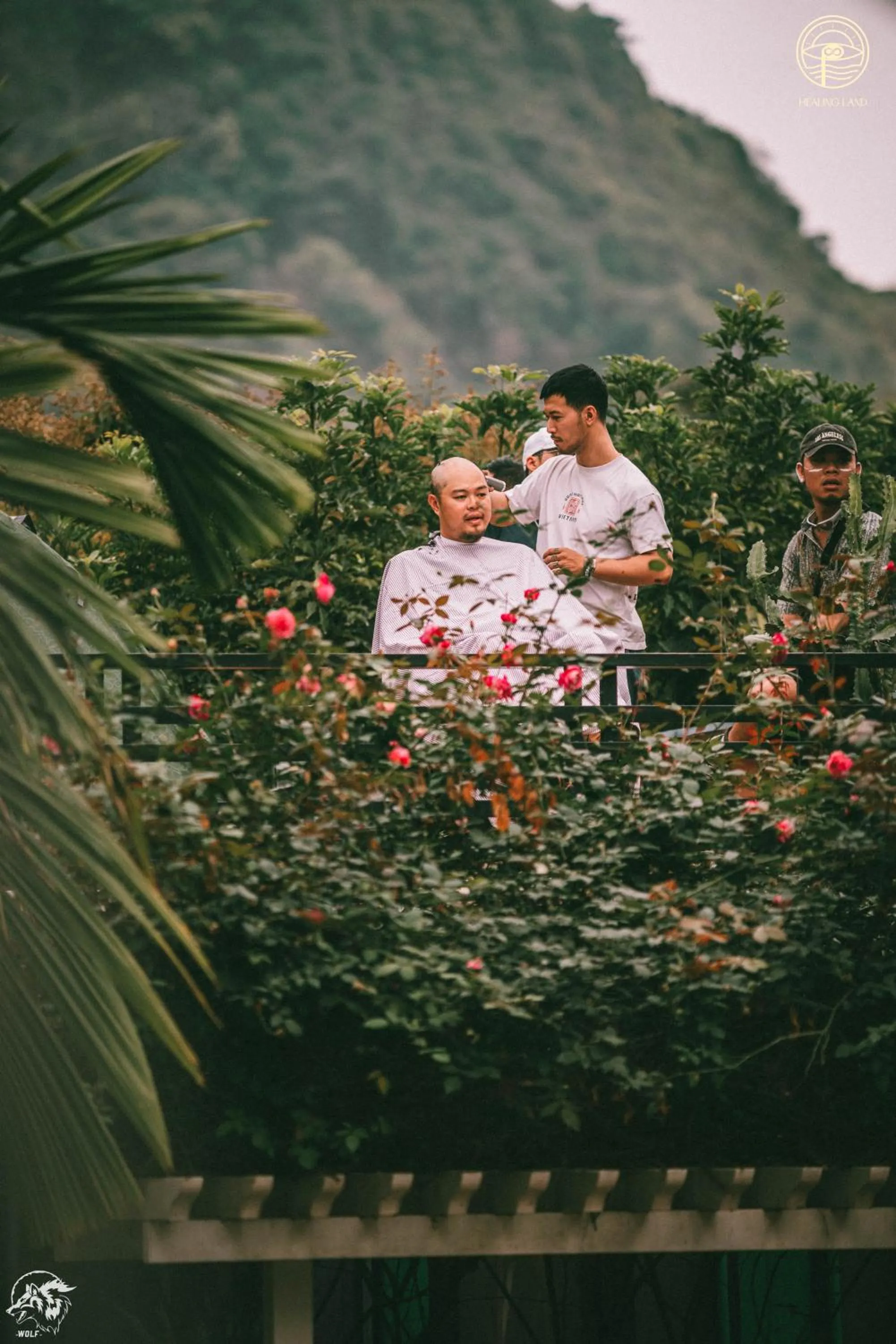 Spring in Republic Hostel Cat Ba