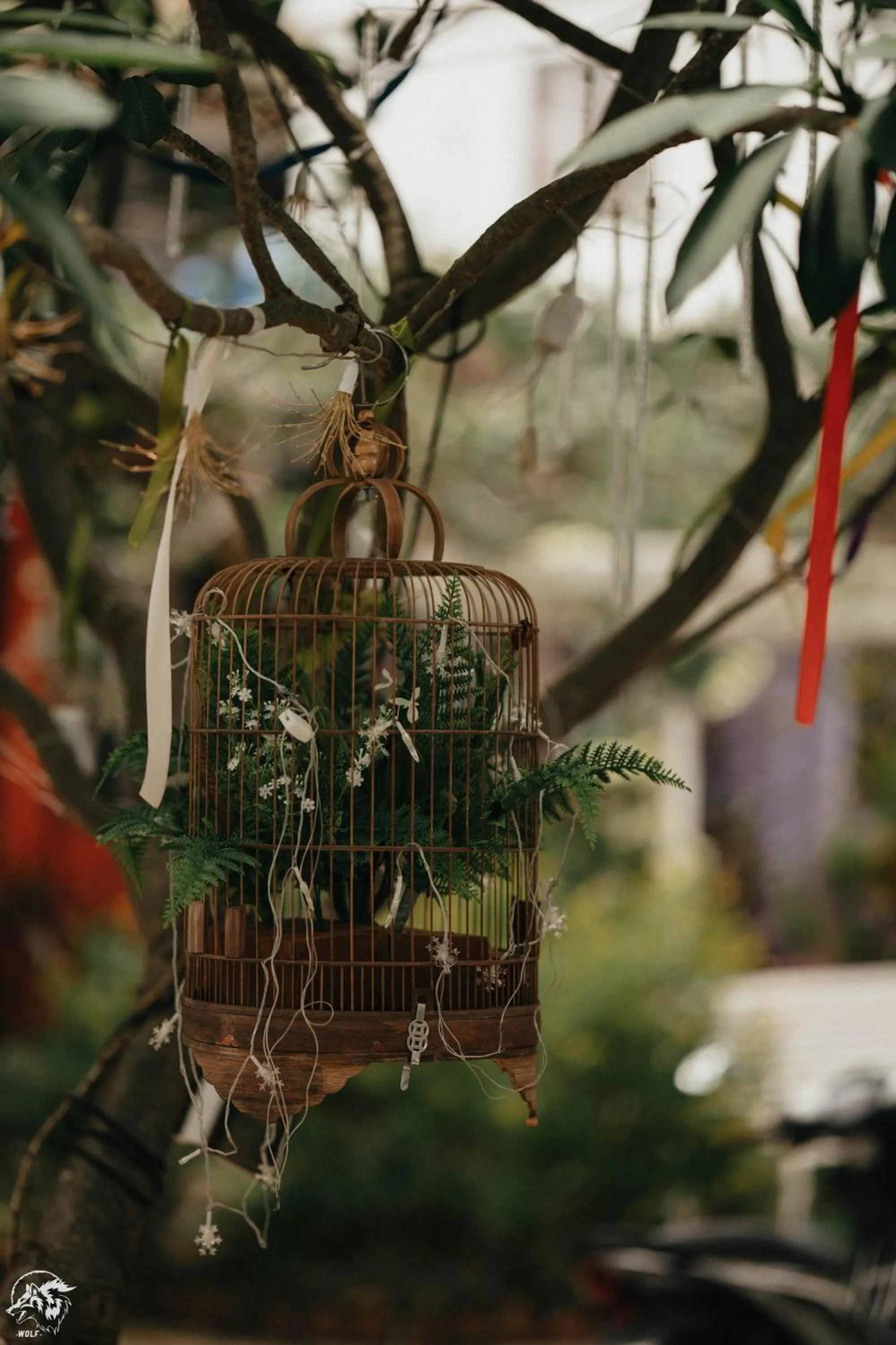 Spring in Republic Hostel Cat Ba