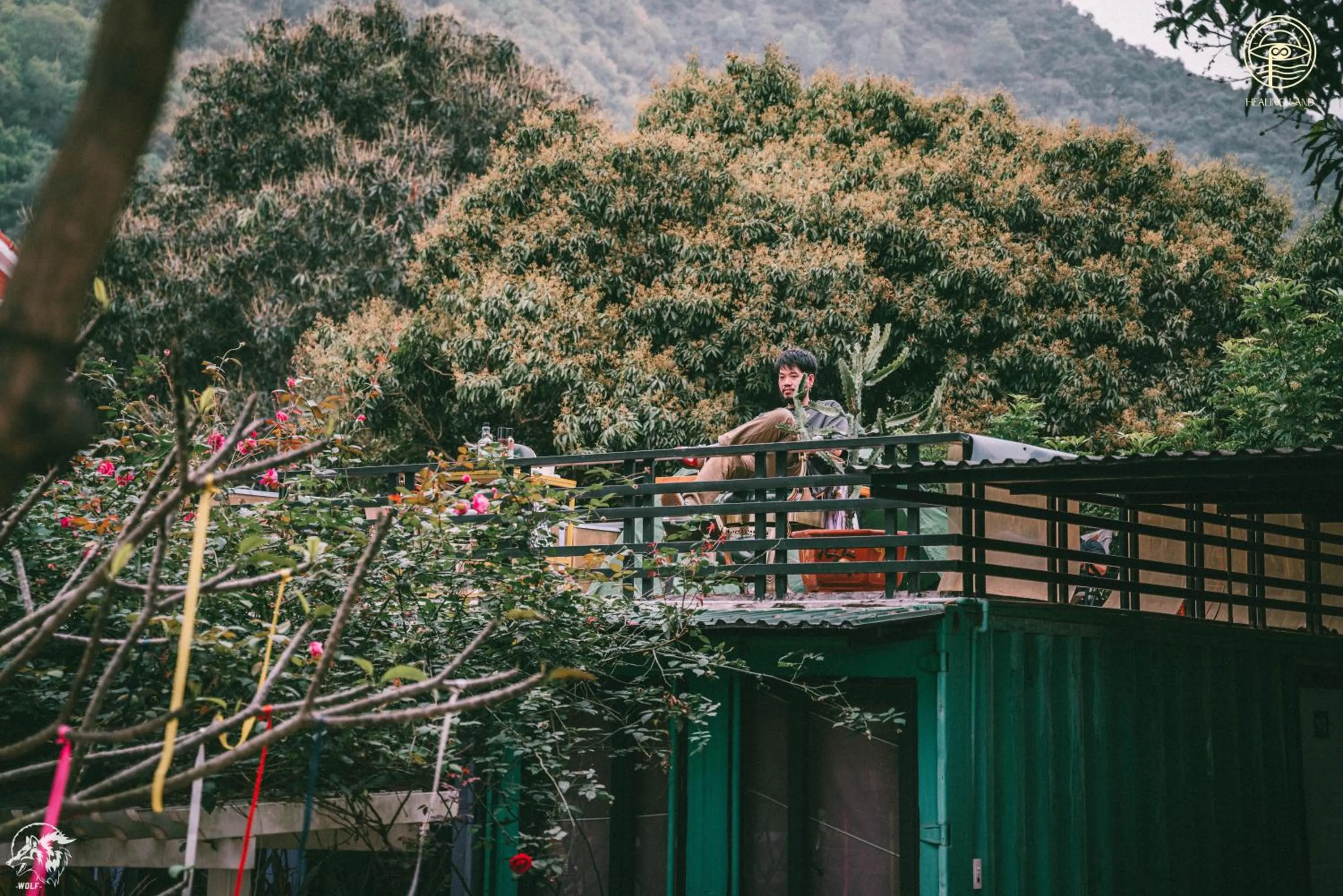 Spring in Republic Hostel Cat Ba