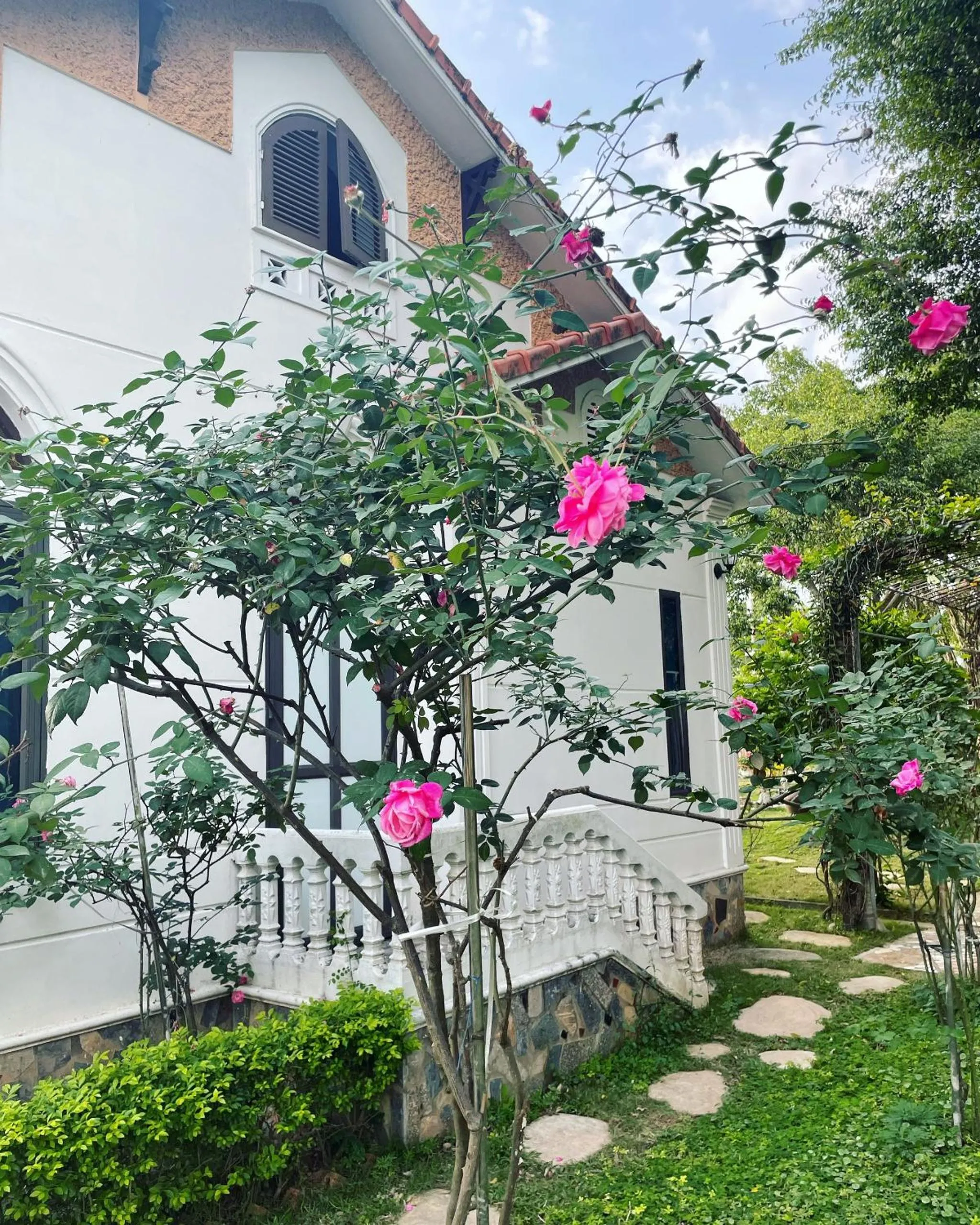 Natural landscape in Hoa Lu Garden Resort