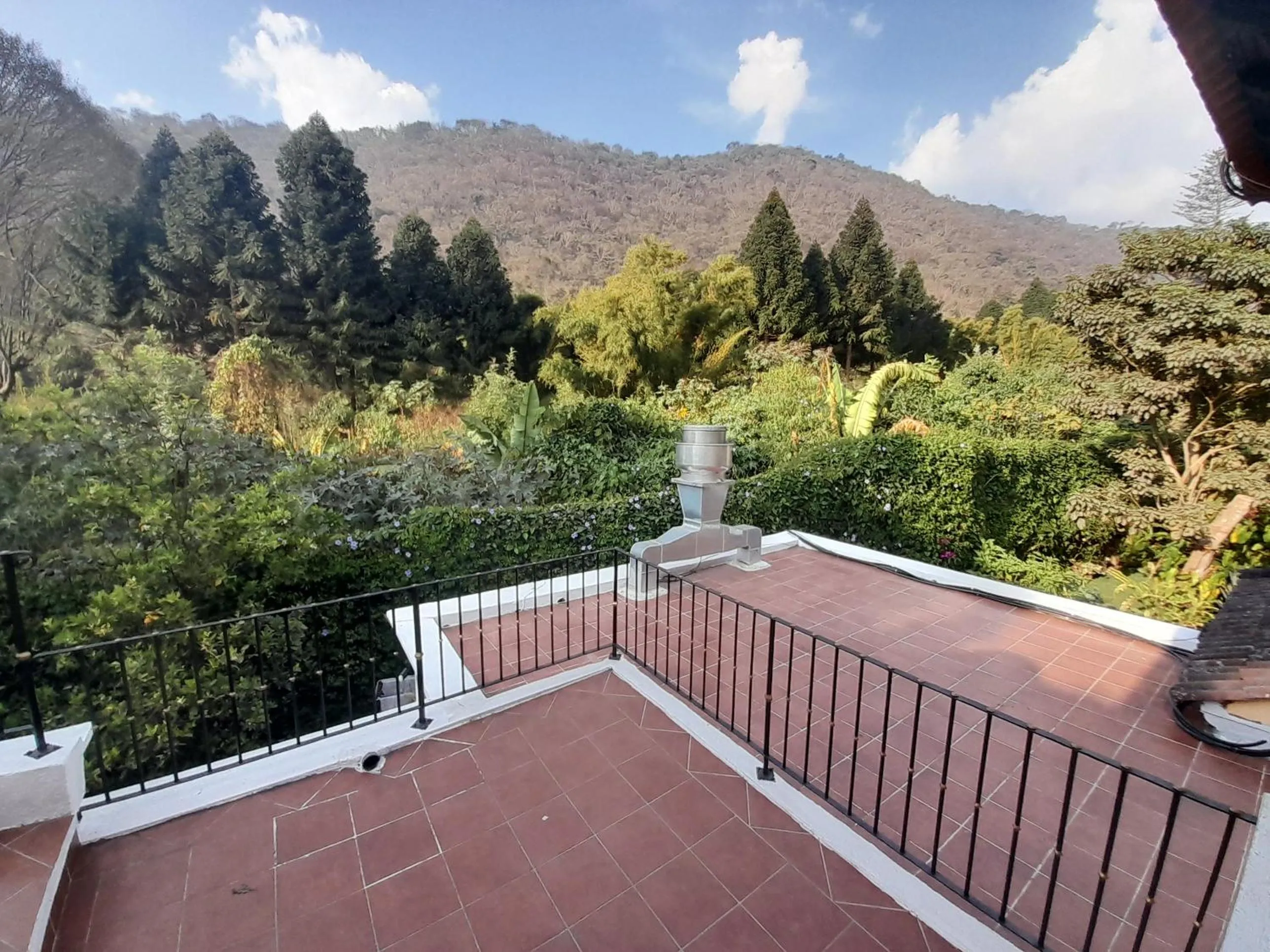 Natural landscape in Hotel y Jardines Casa Búho