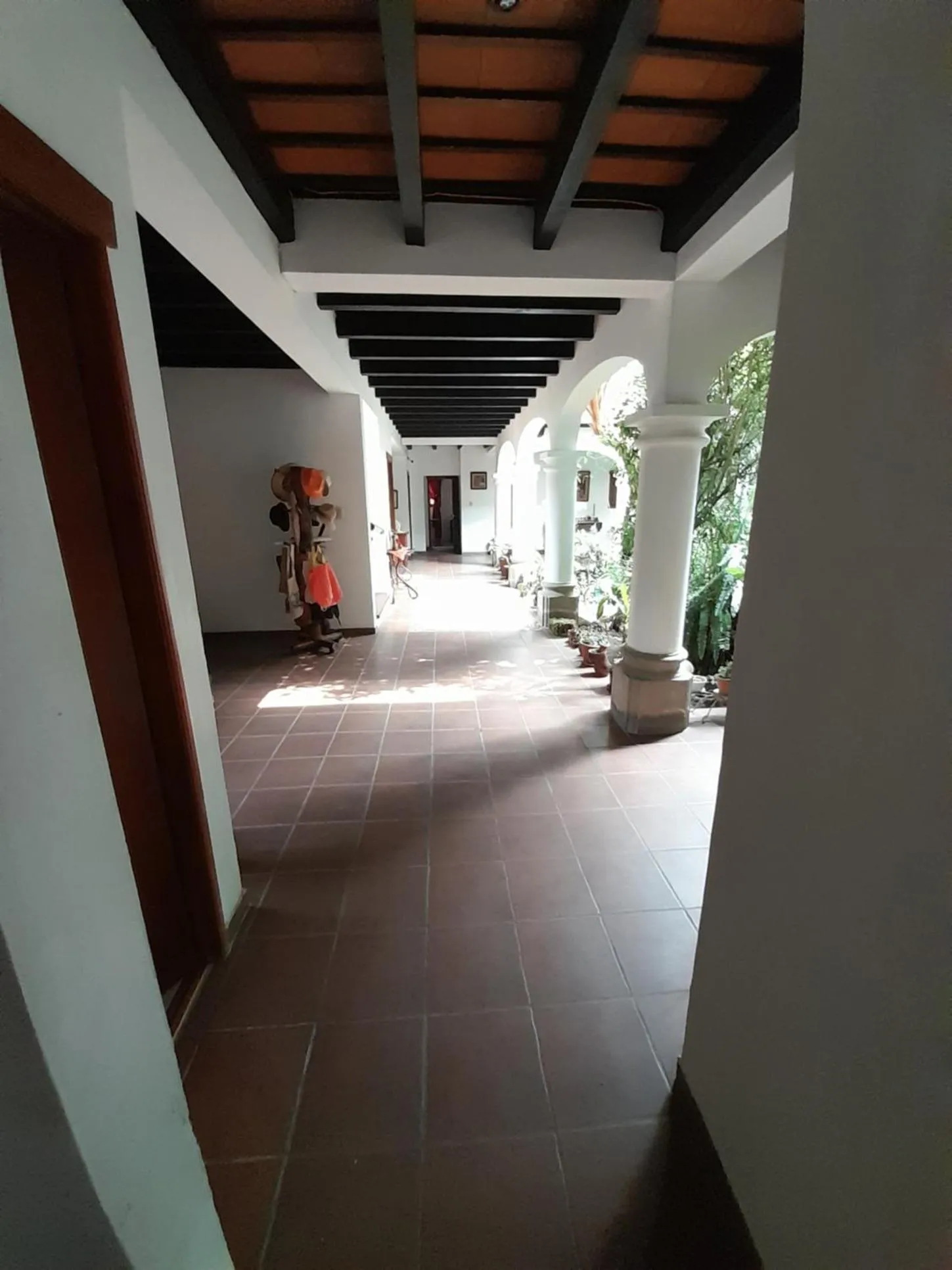 Patio in Hotel y Jardines Casa Búho