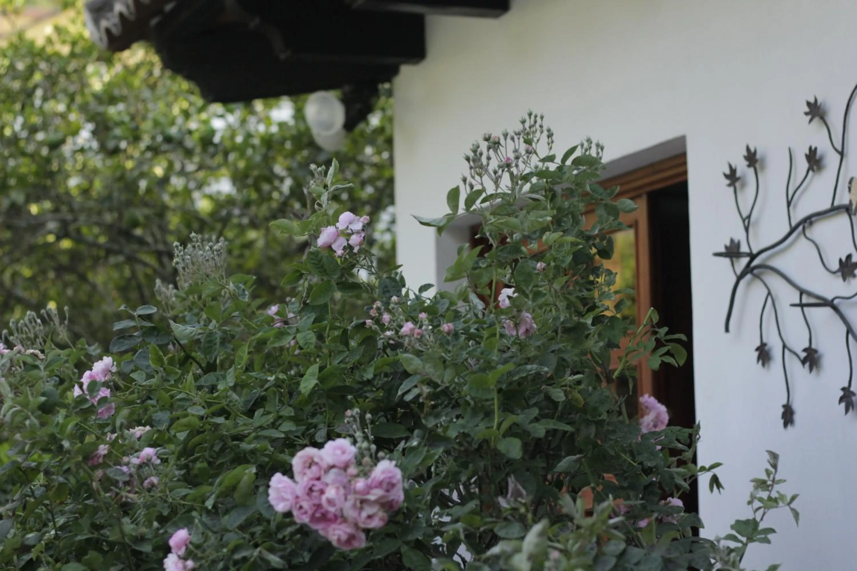 Spring in Hotel y Jardines Casa Búho