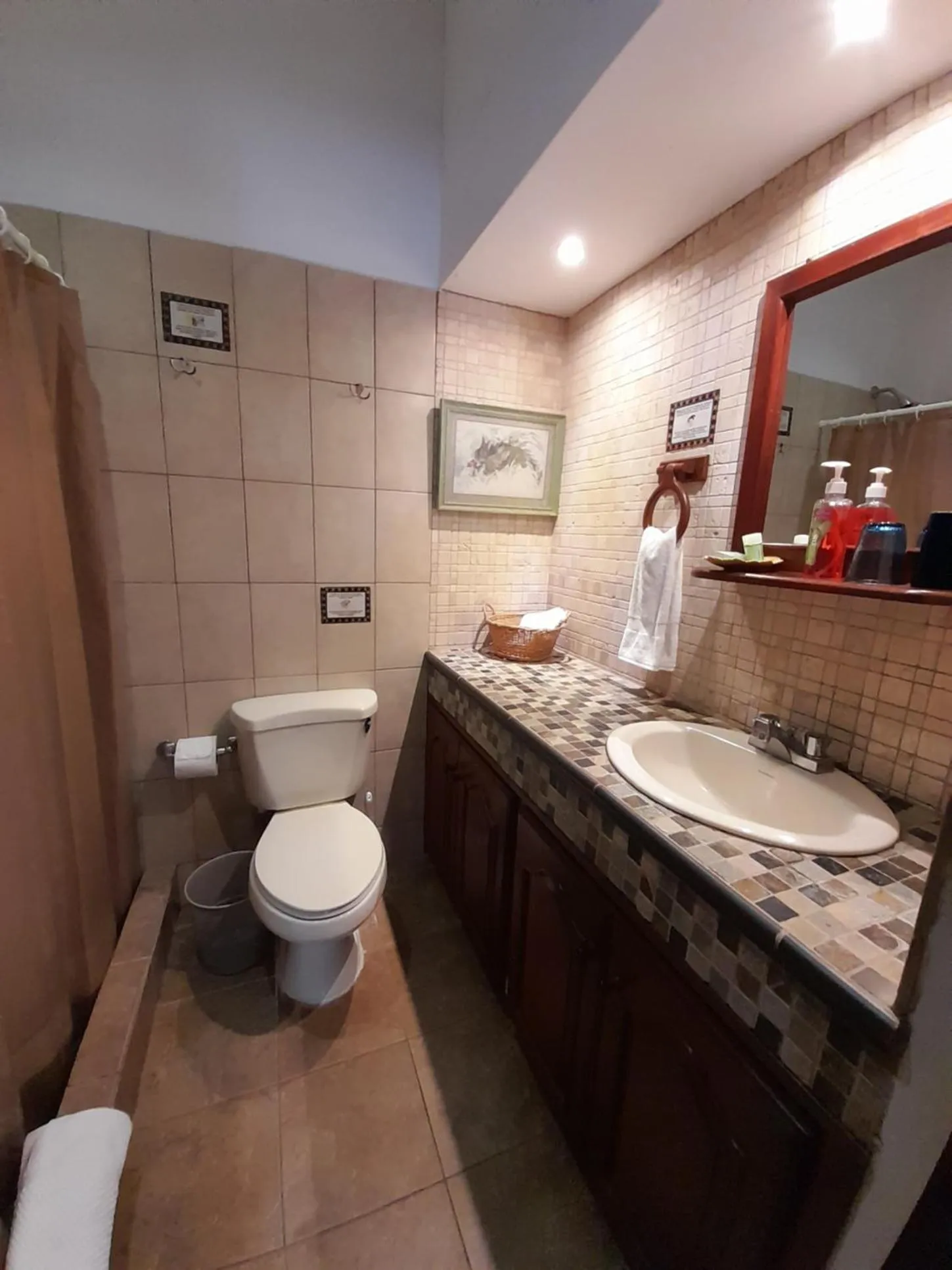 Toilet in Hotel y Jardines Casa Búho