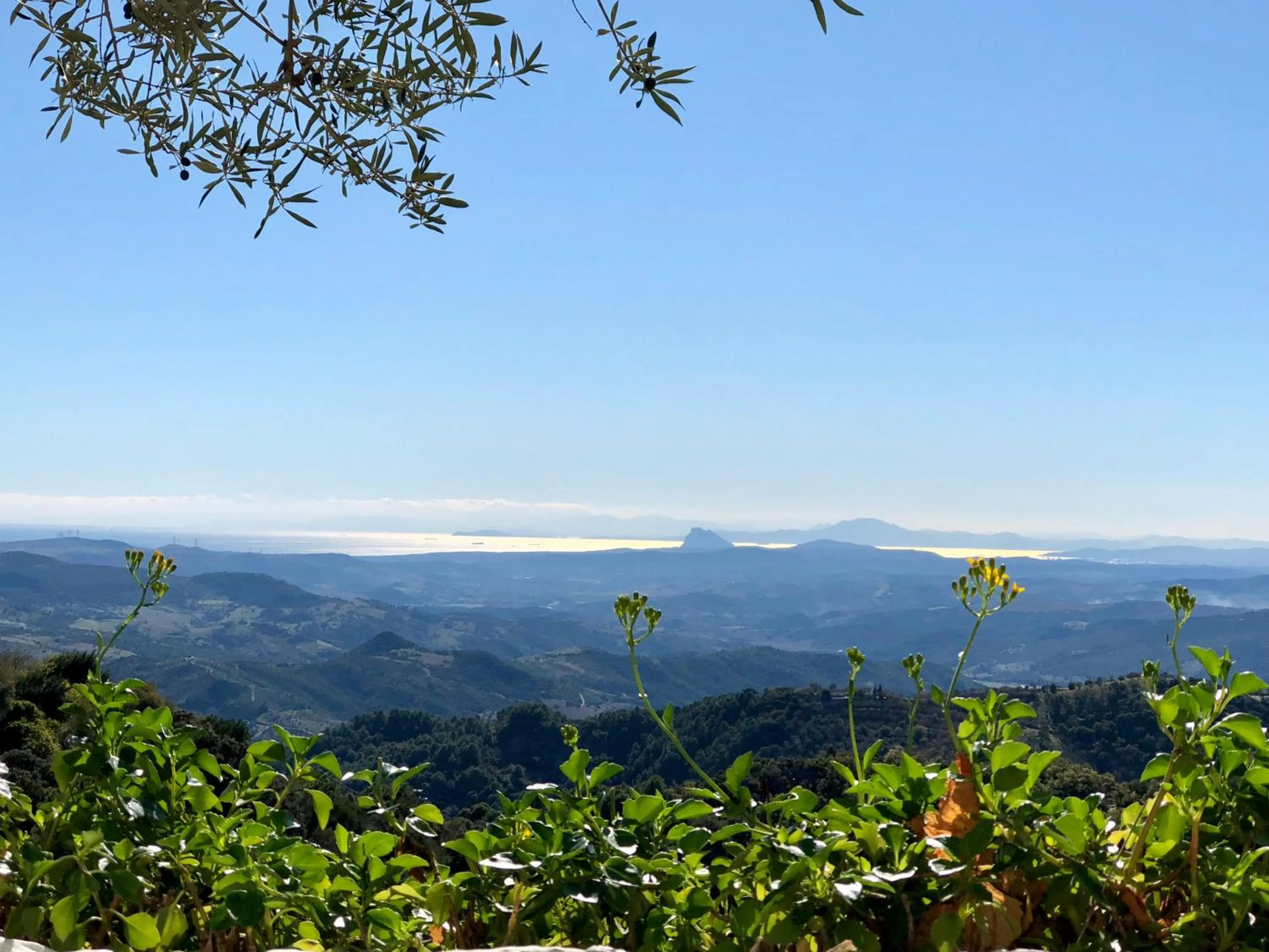 View (from property/room) in La Fructuosa