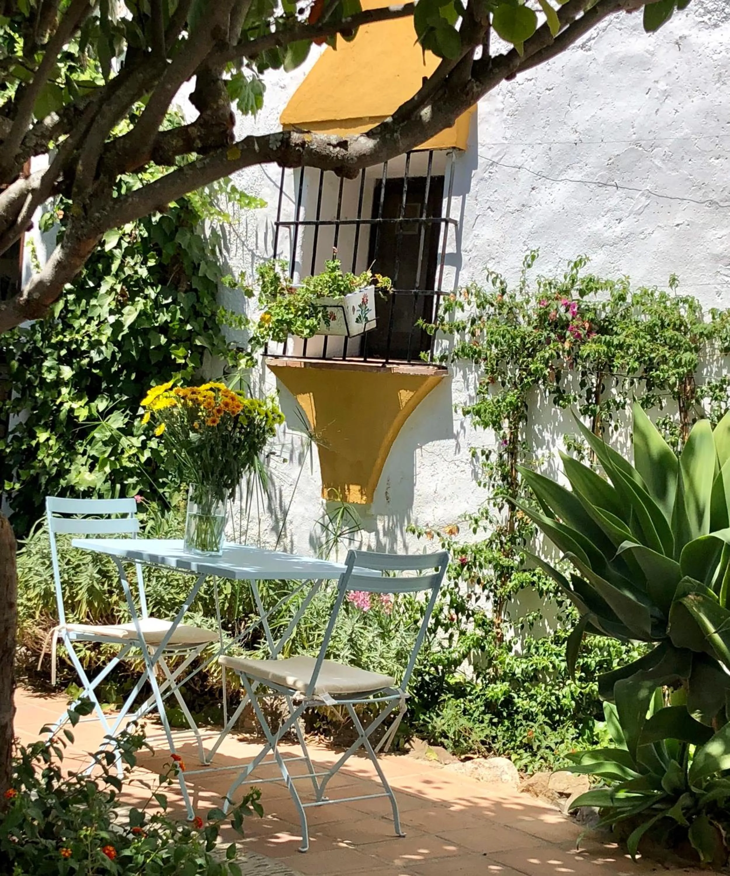 Patio in La Fructuosa