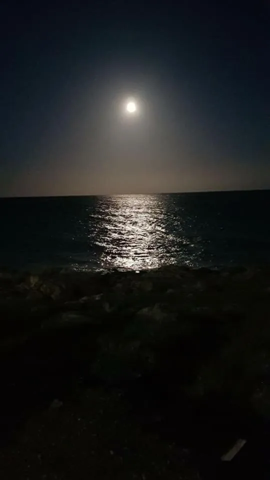 Natural landscape in Hotel Punta del Cantal