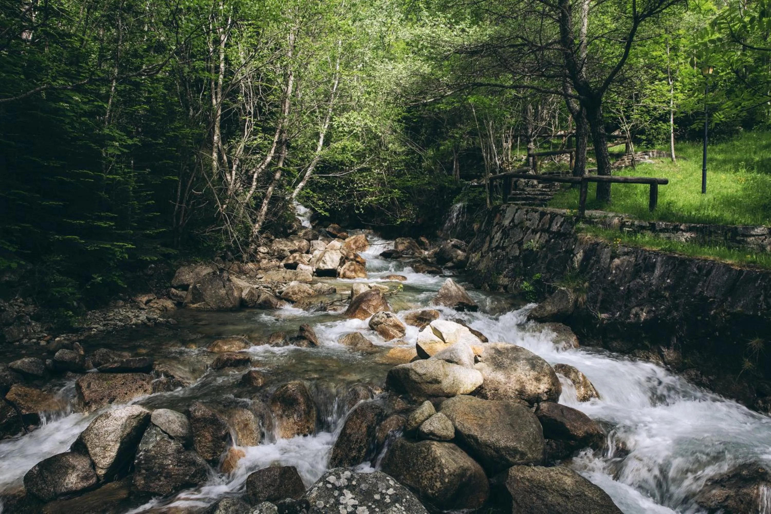 Garden in Hotel Caldas