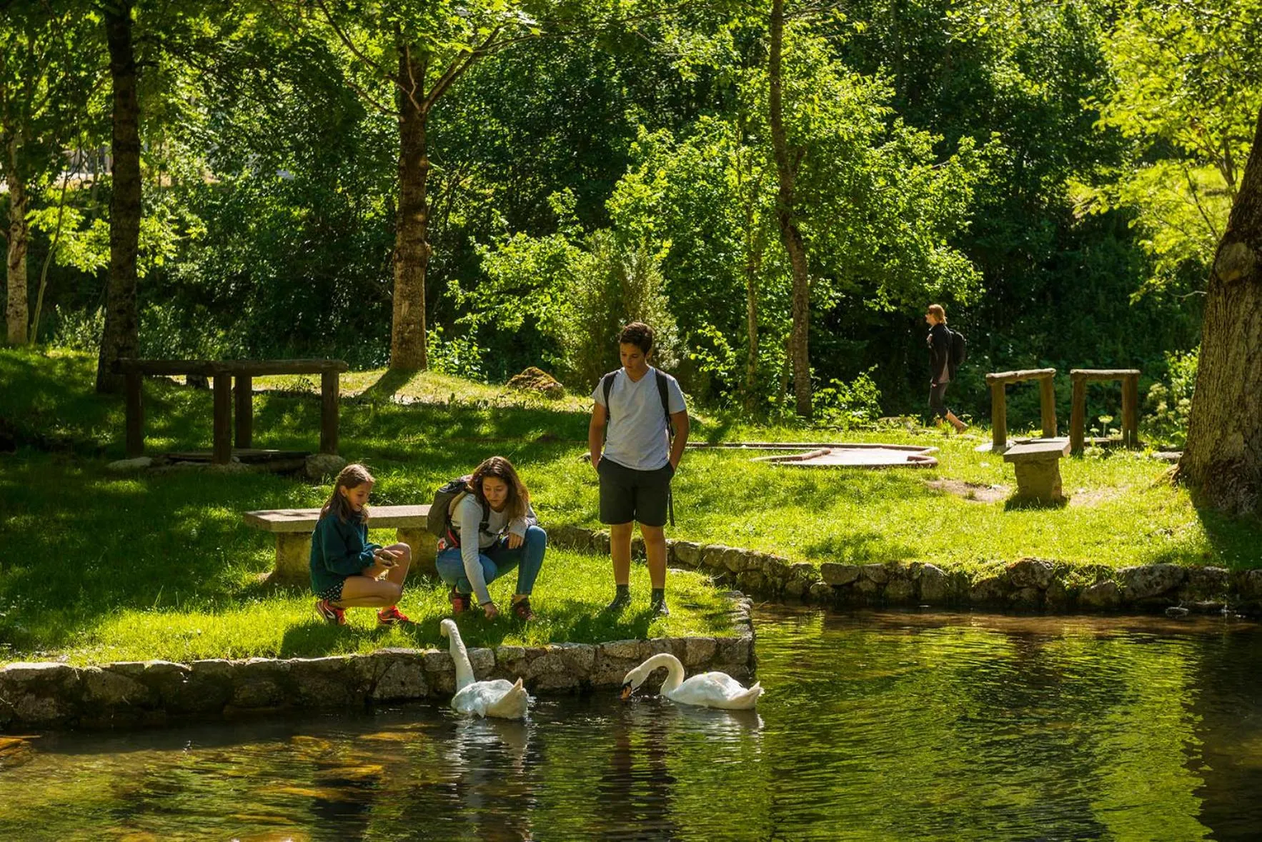 Garden in Hotel Manantial