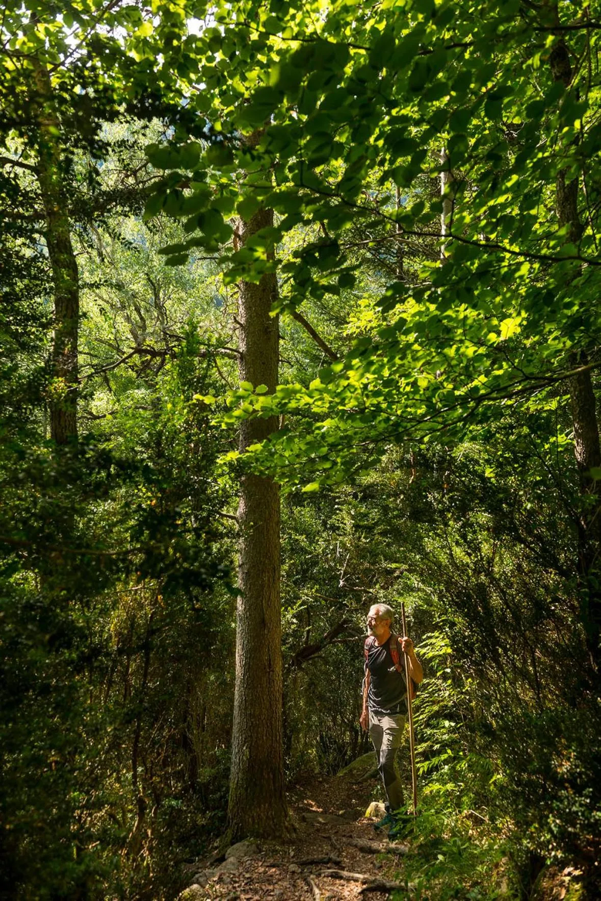Garden in Hotel Manantial