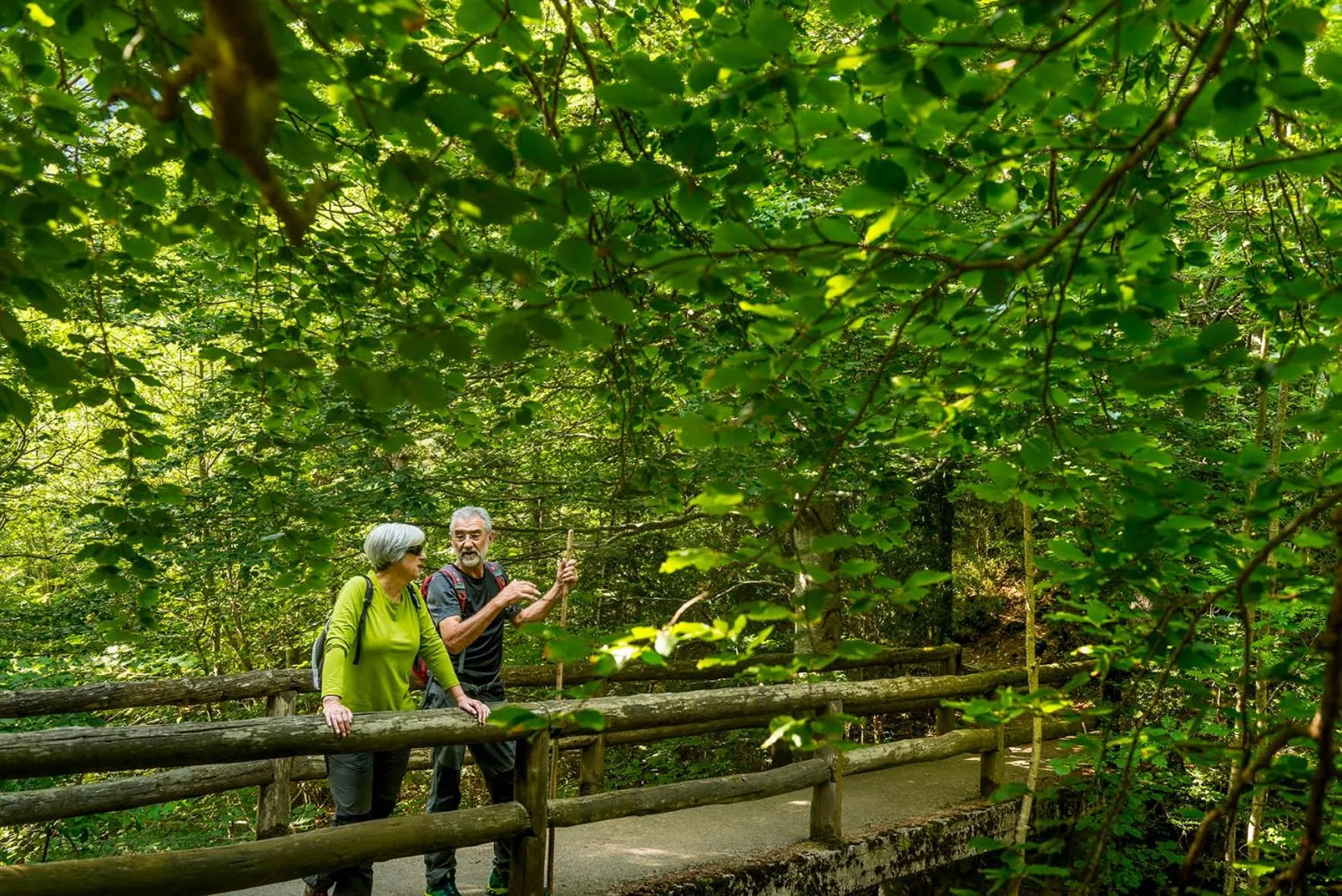 Garden in Hotel Manantial