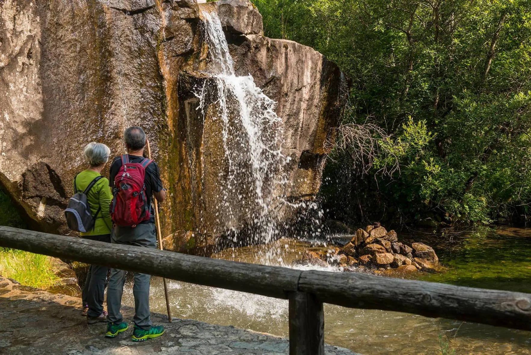 Garden in Hotel Manantial