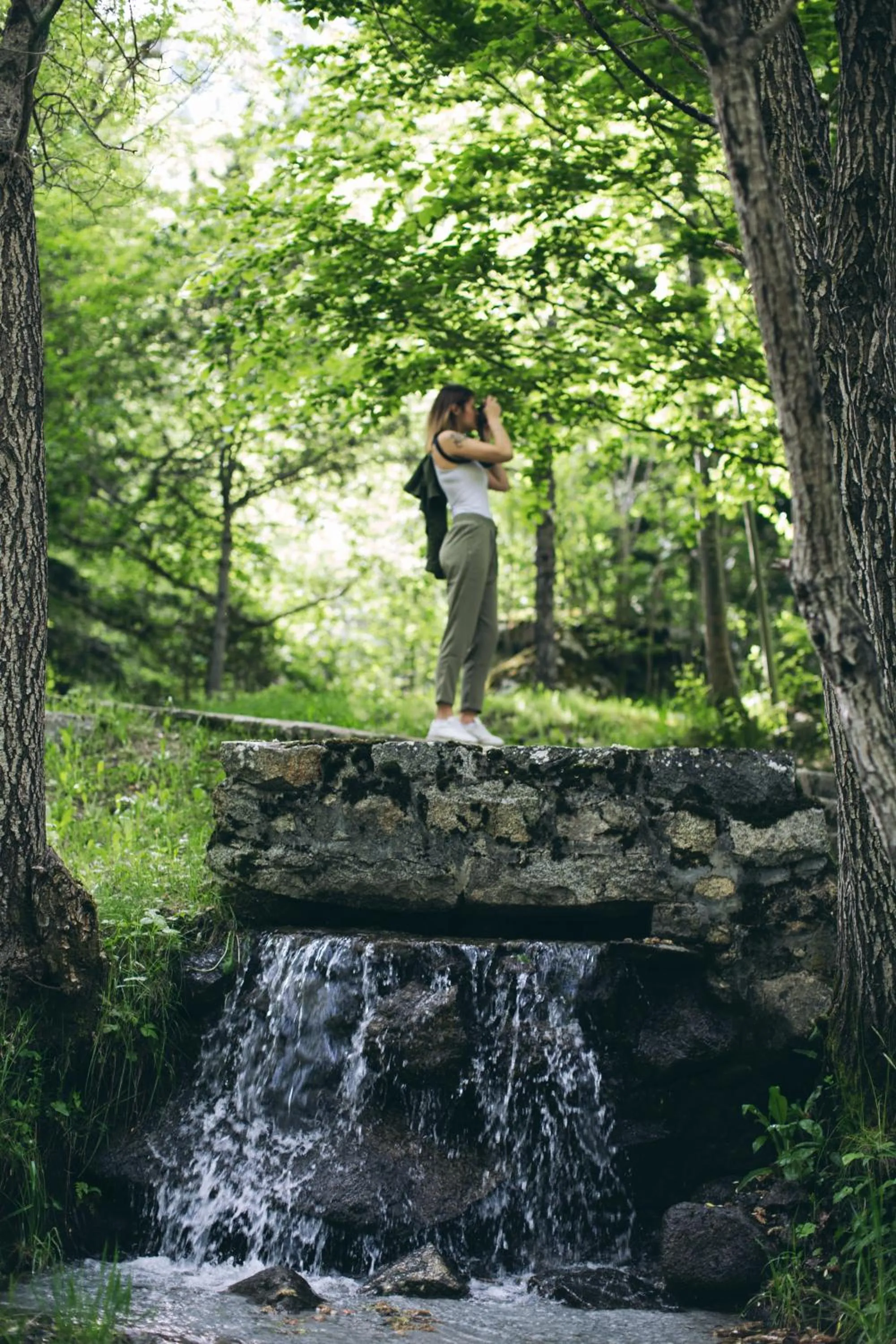 Garden in Hotel Manantial