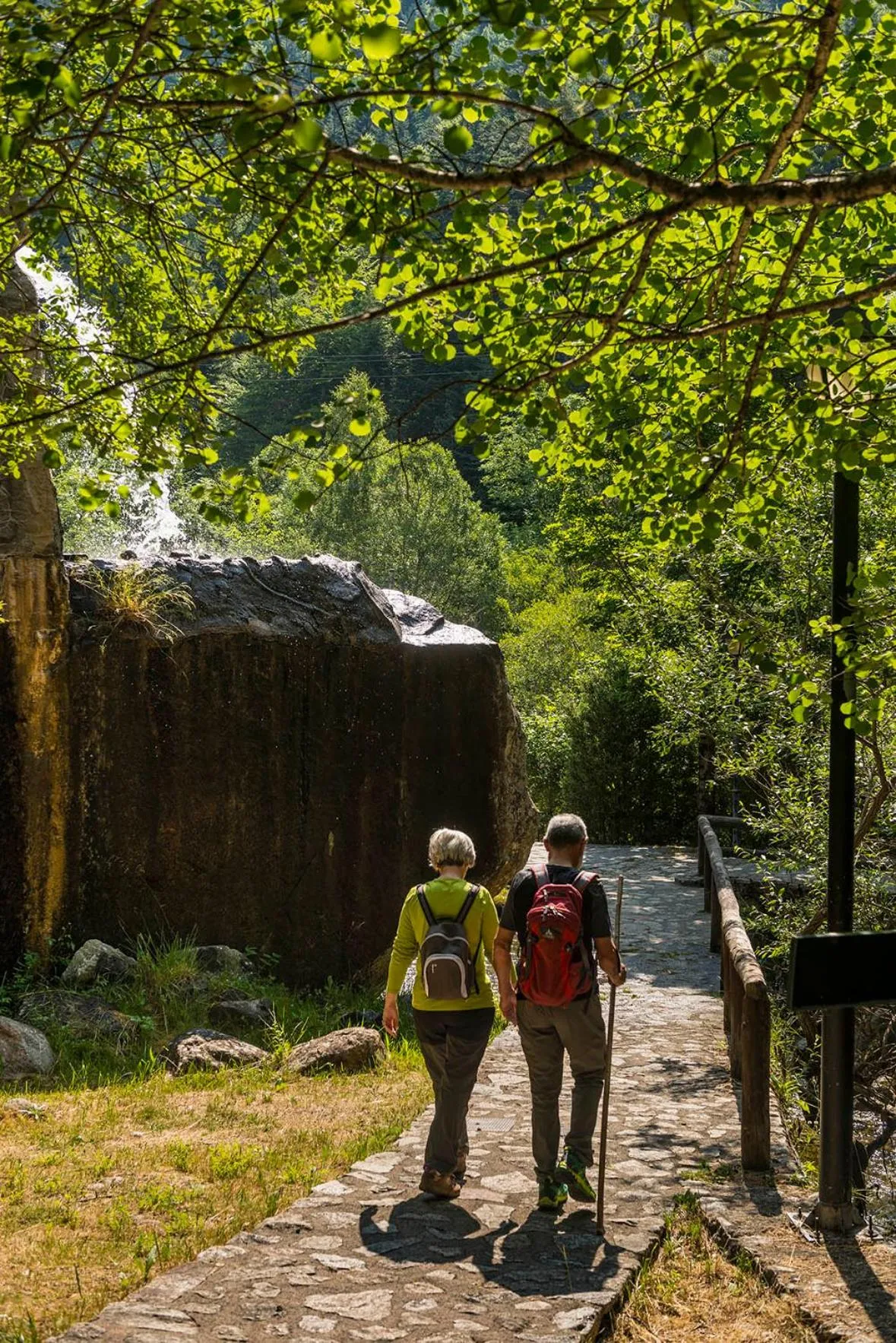 Garden in Hotel Manantial
