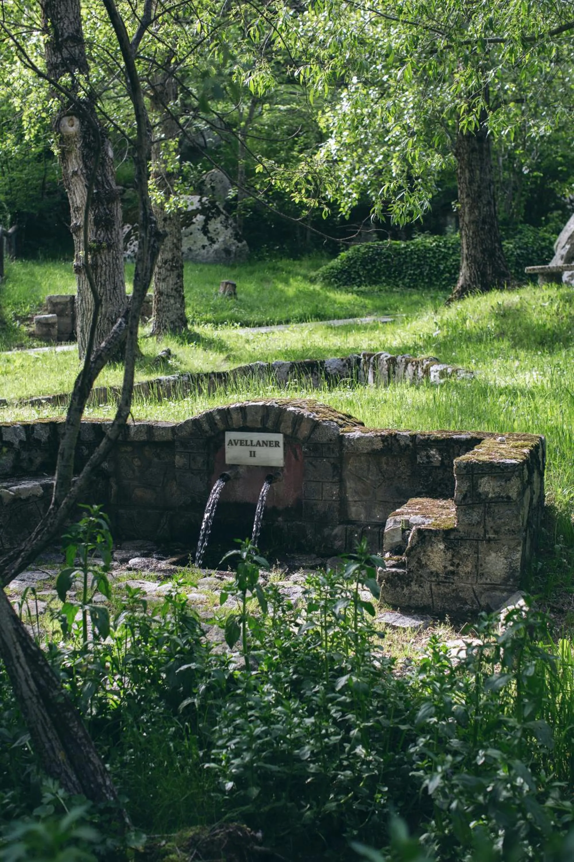 Natural landscape in Hotel Manantial