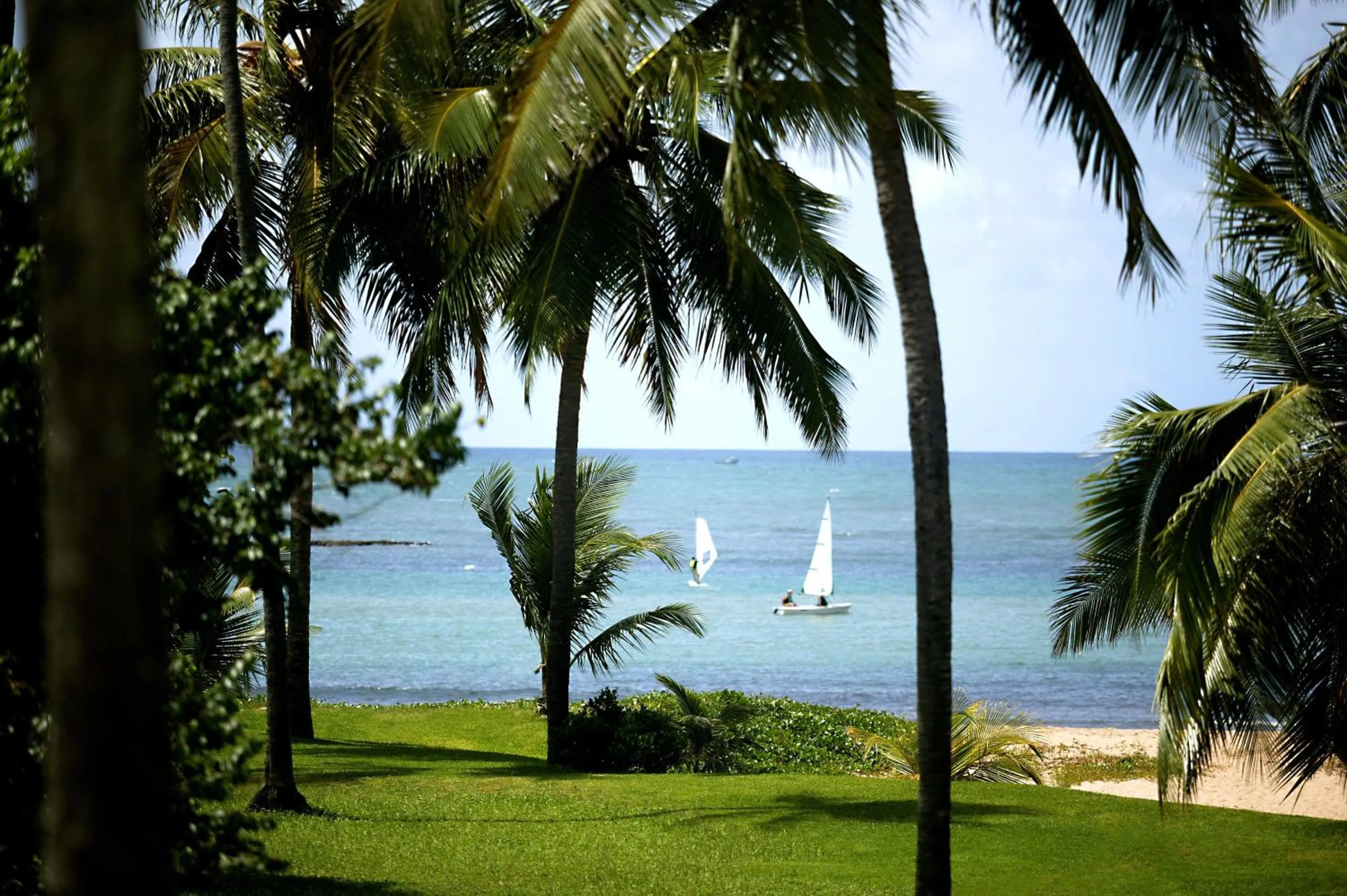 Natural landscape in Tivoli Ecoresort Praia do Forte