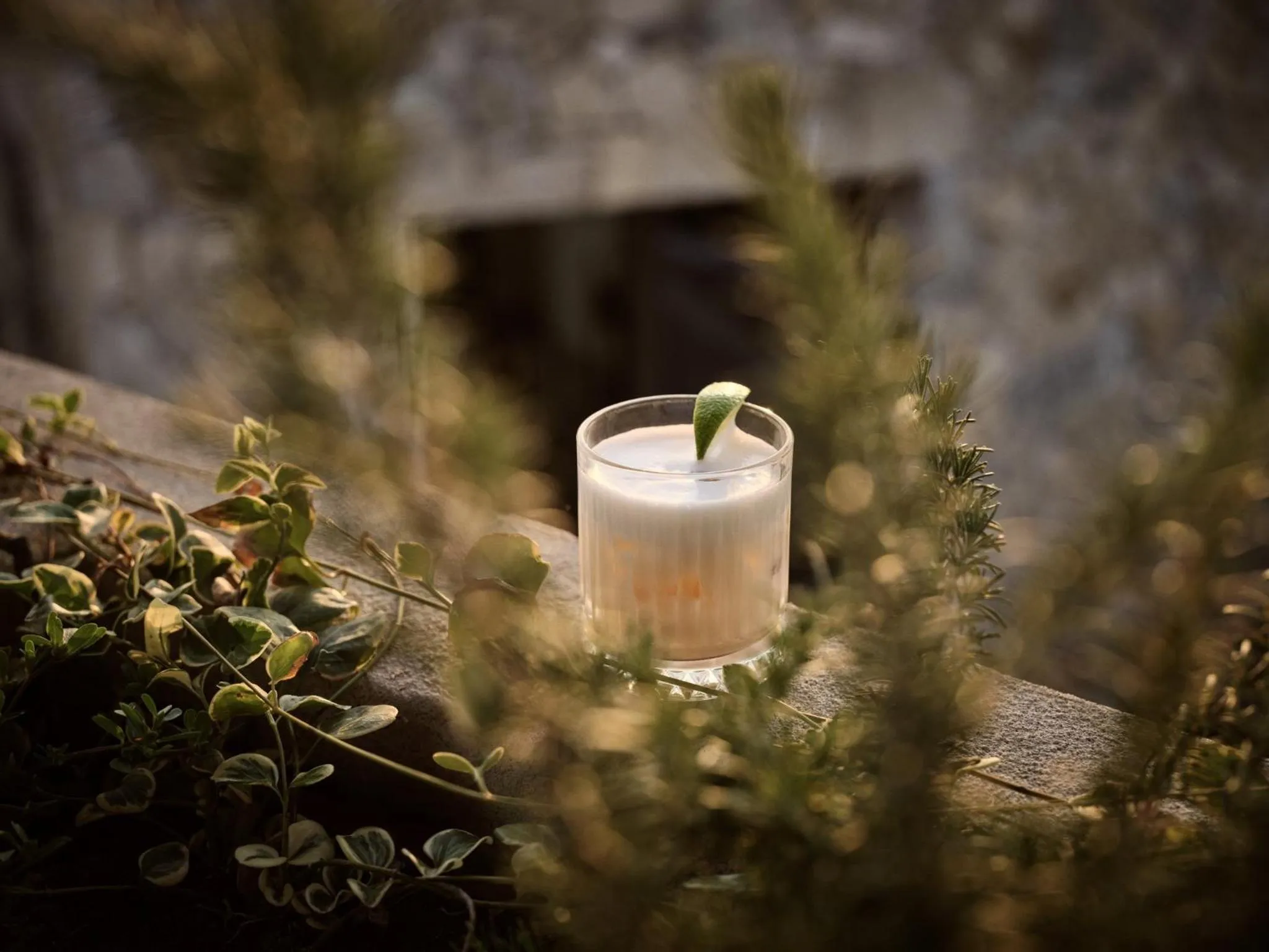 Restaurant/places to eat in Pierros Verde