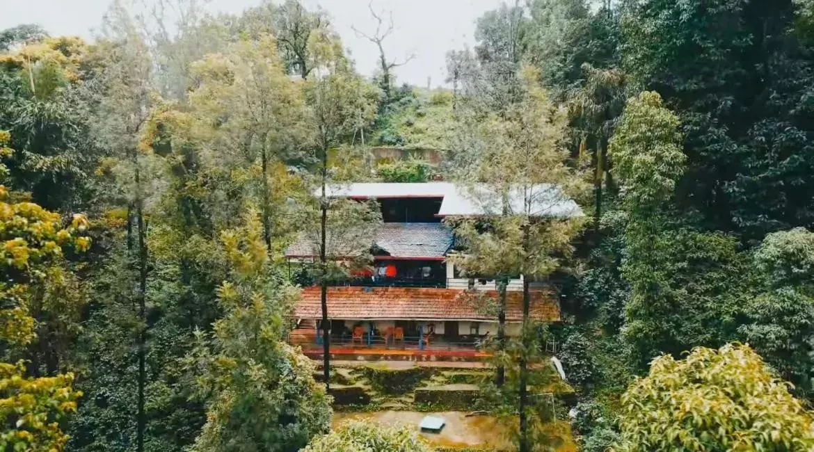 Cloud 9 Homestay Cloud 9 Homestay
