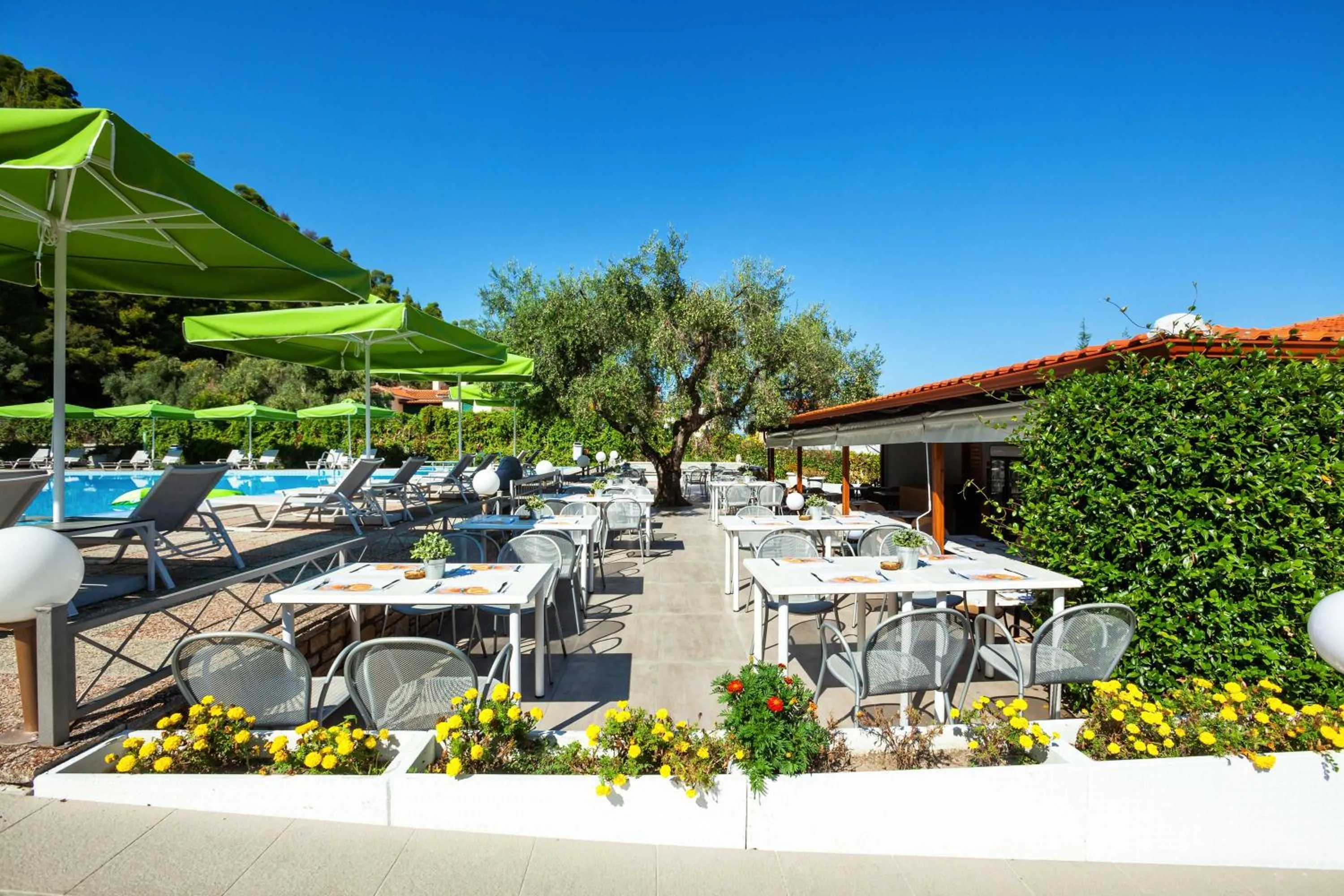 Restaurant/places to eat in Palladium Hotel