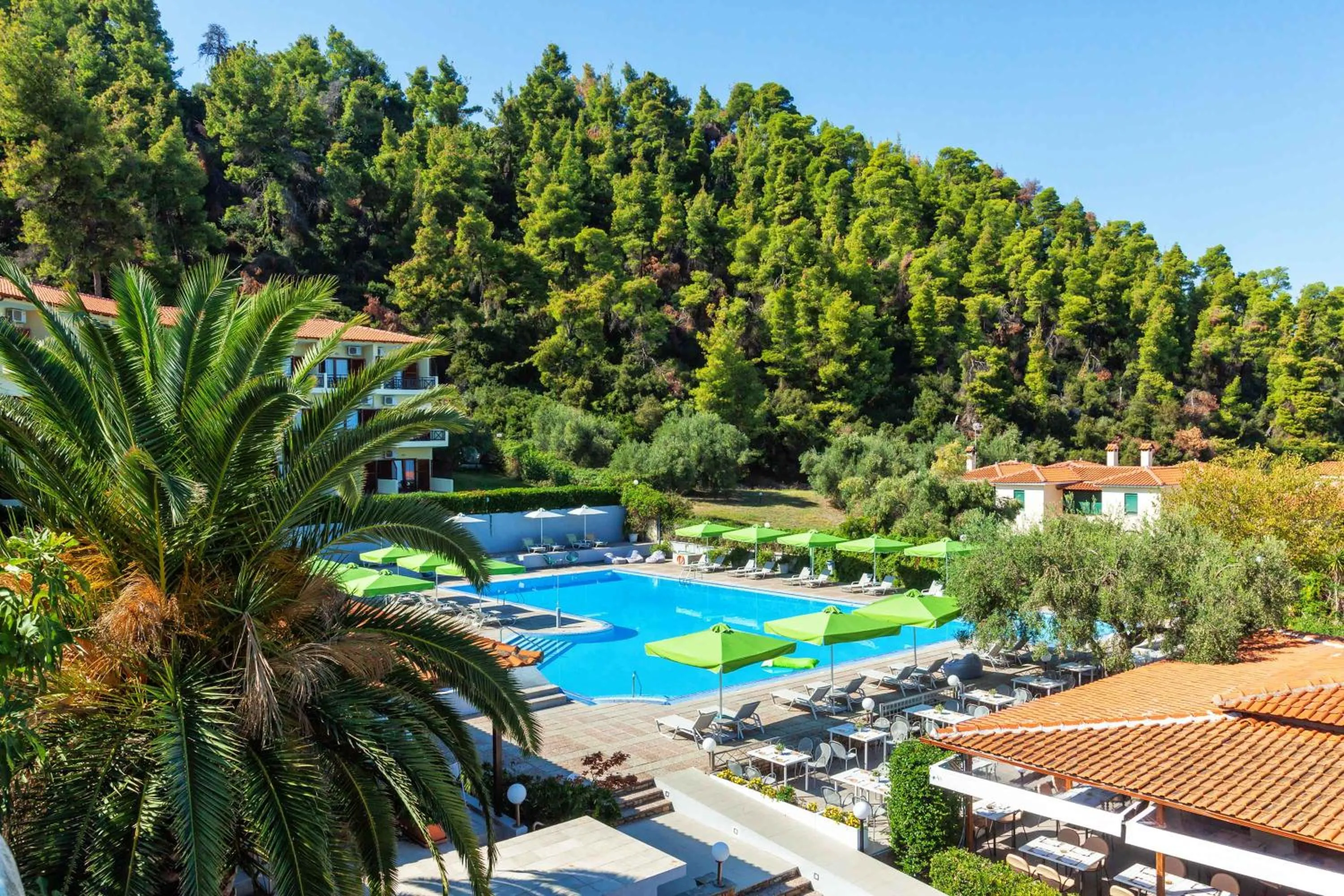 Natural landscape in Palladium Hotel