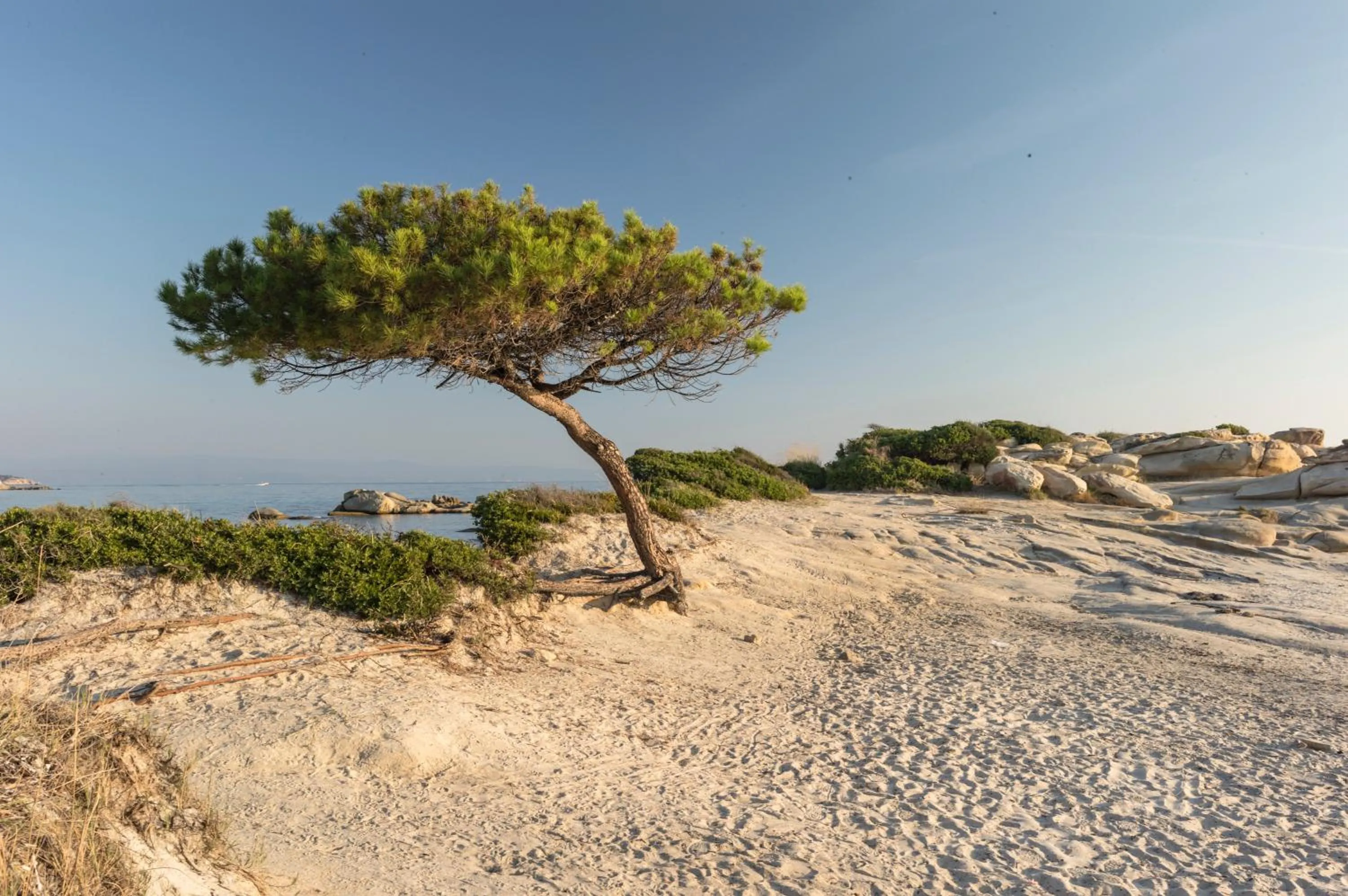 Beach in Ekies All Senses Resort, a Member of Design Hotels