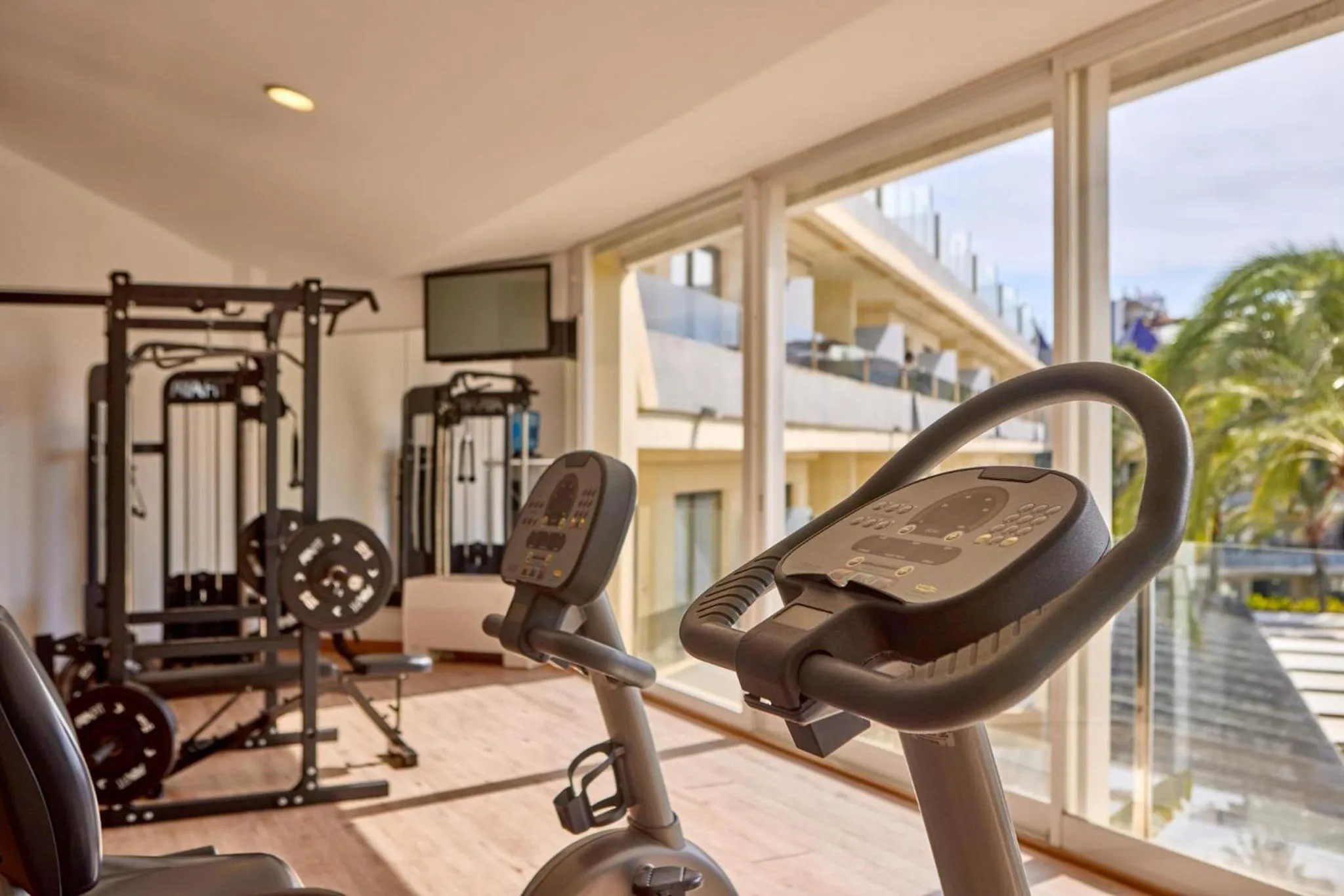 Activities in Zafiro Palmanova