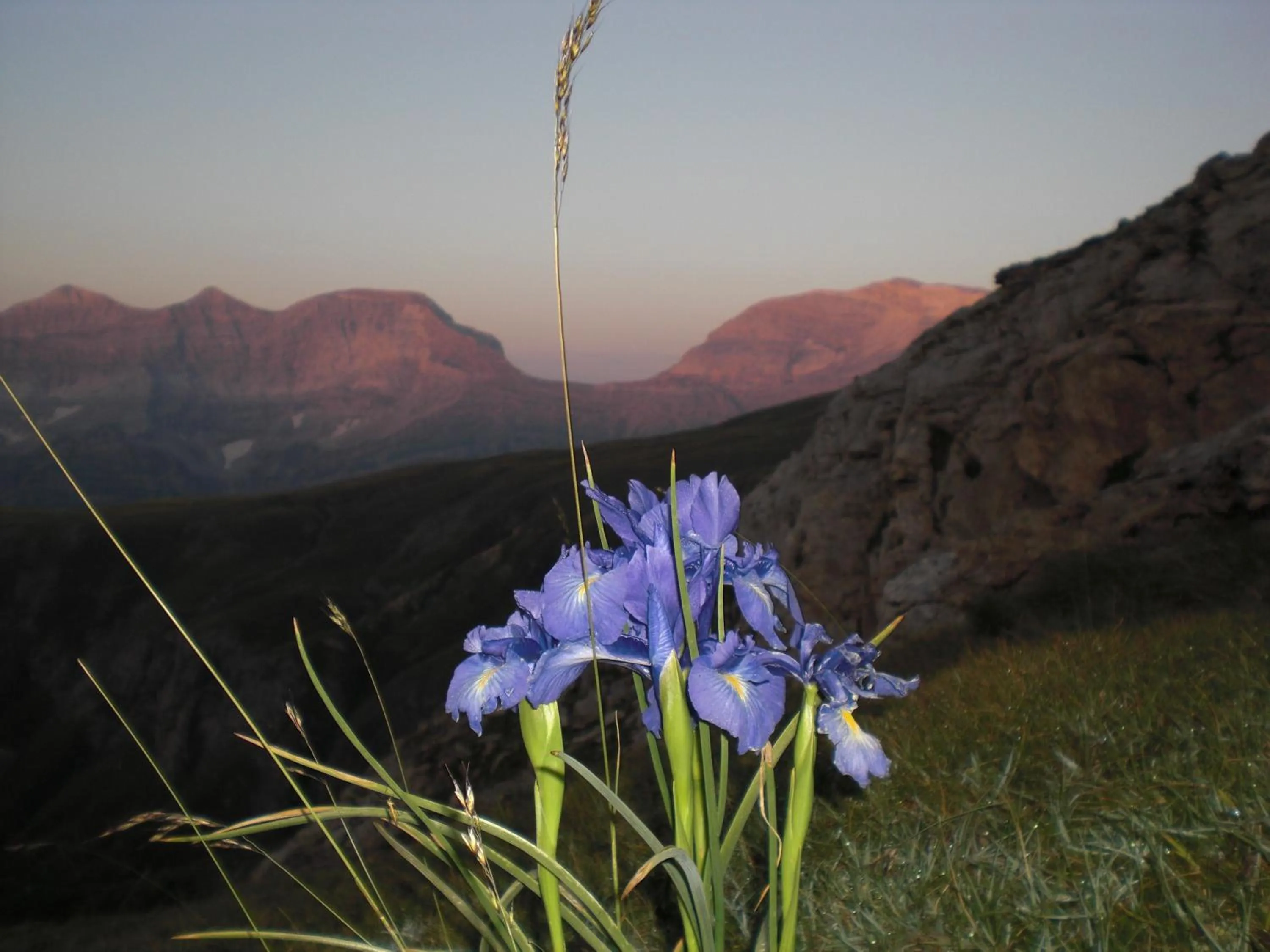Natural landscape in Hotel Sanchez