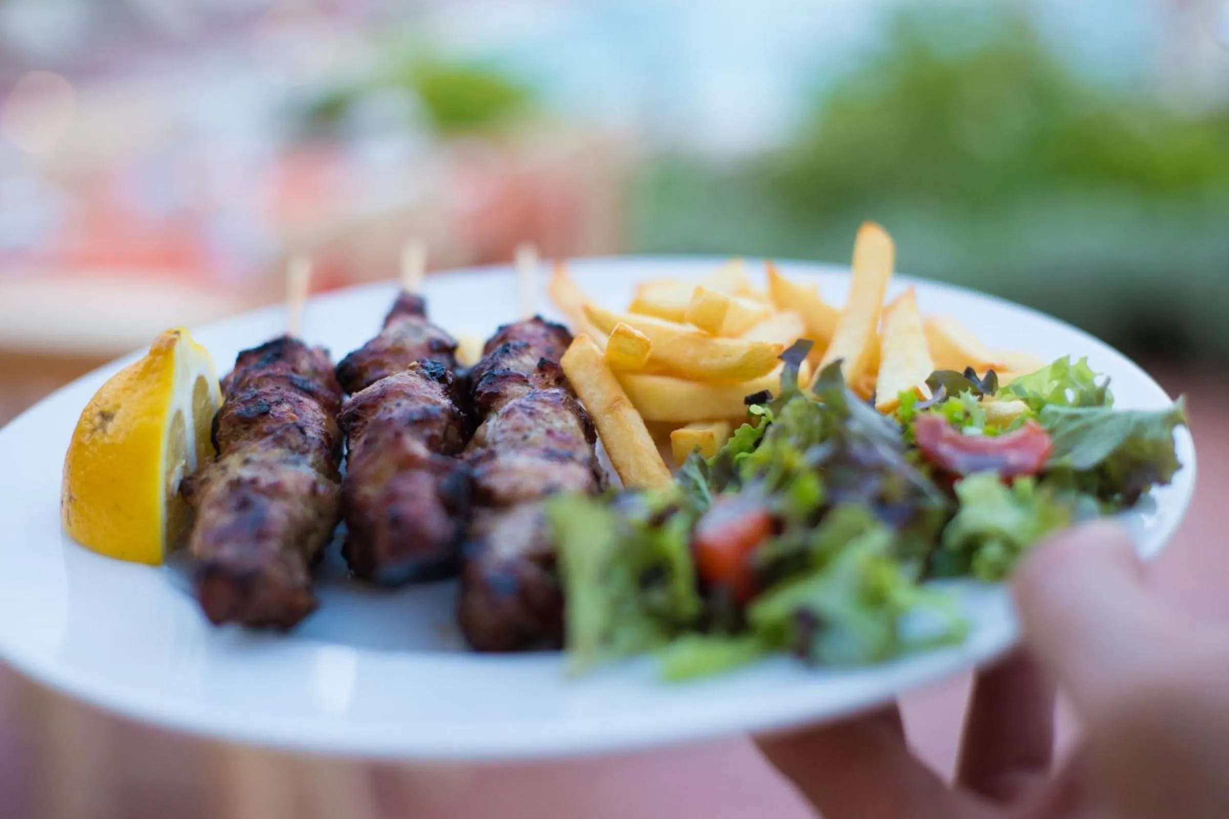 Restaurant/places to eat in Meteora Hotel at Kastraki