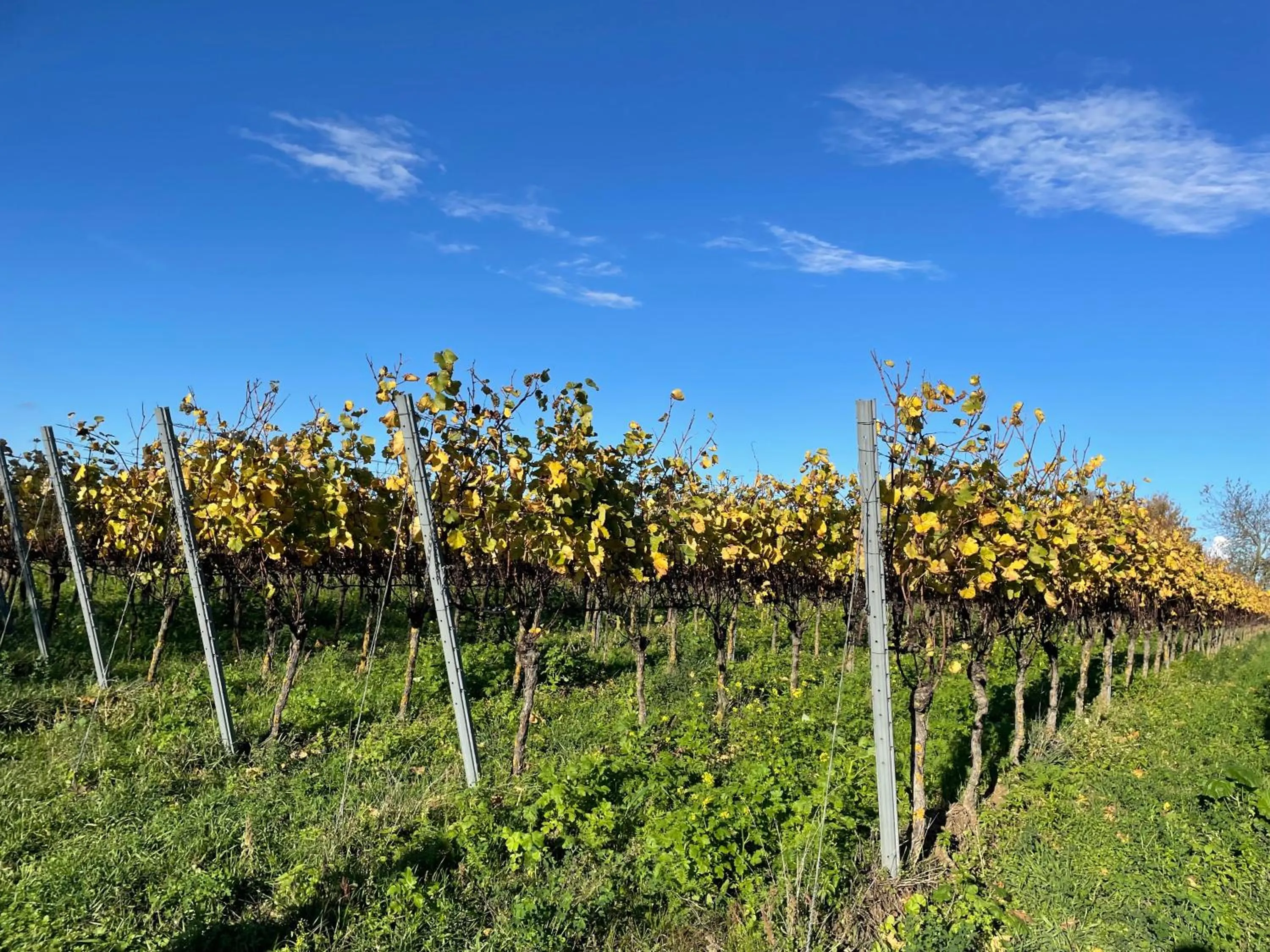 Activities in Gasthof Rebland