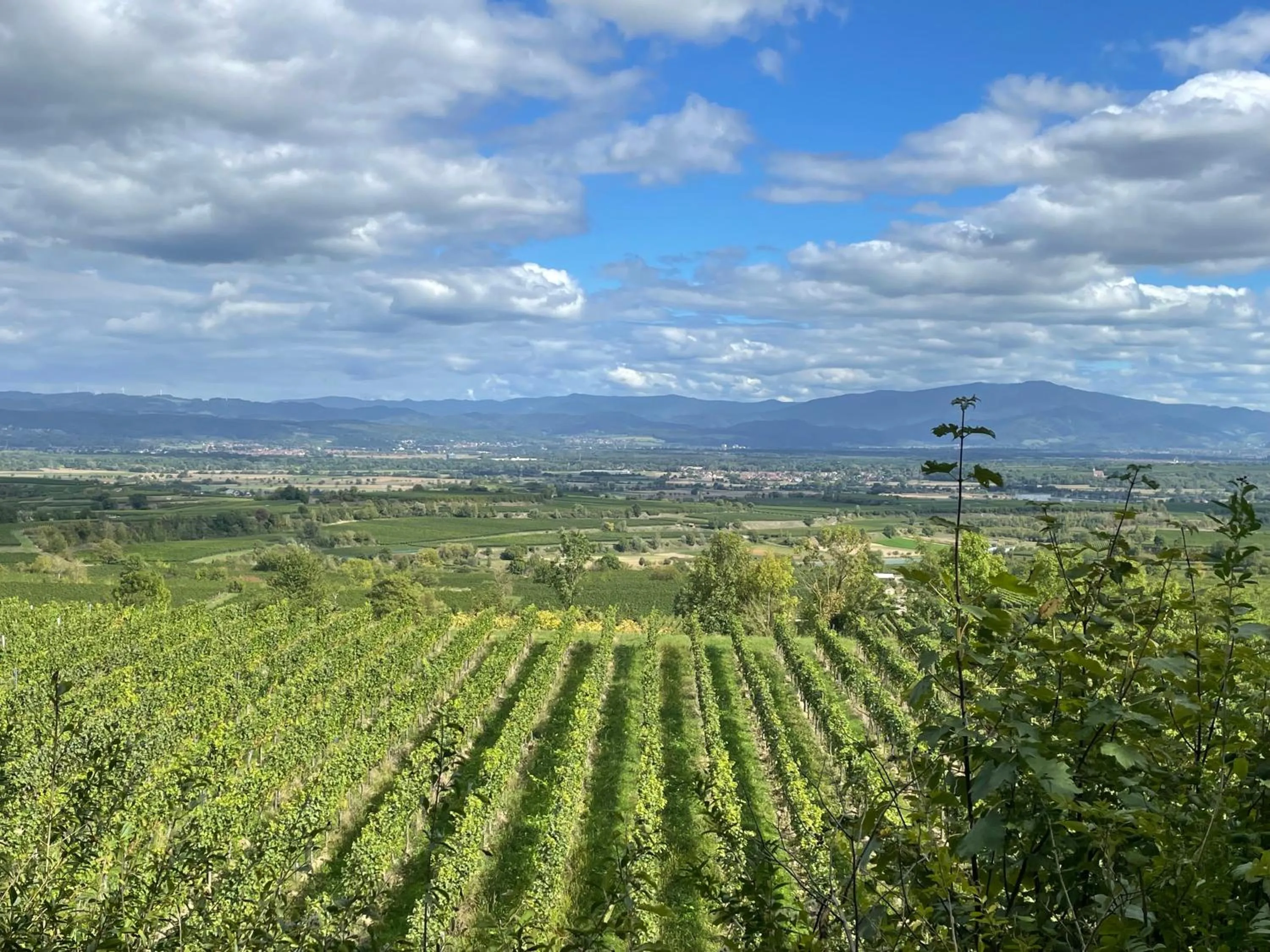 Activities in Gasthof Rebland